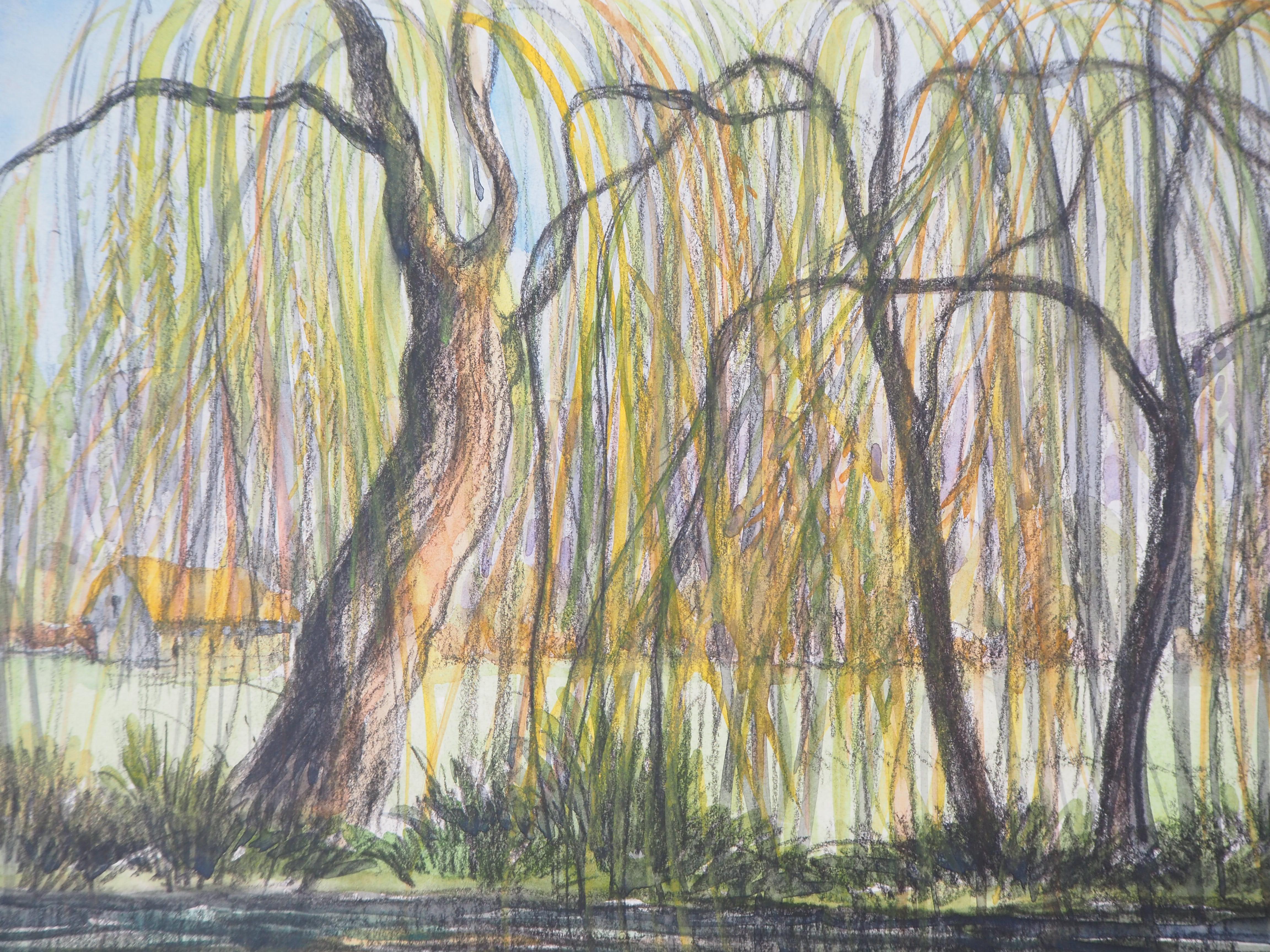weeping willow watercolor