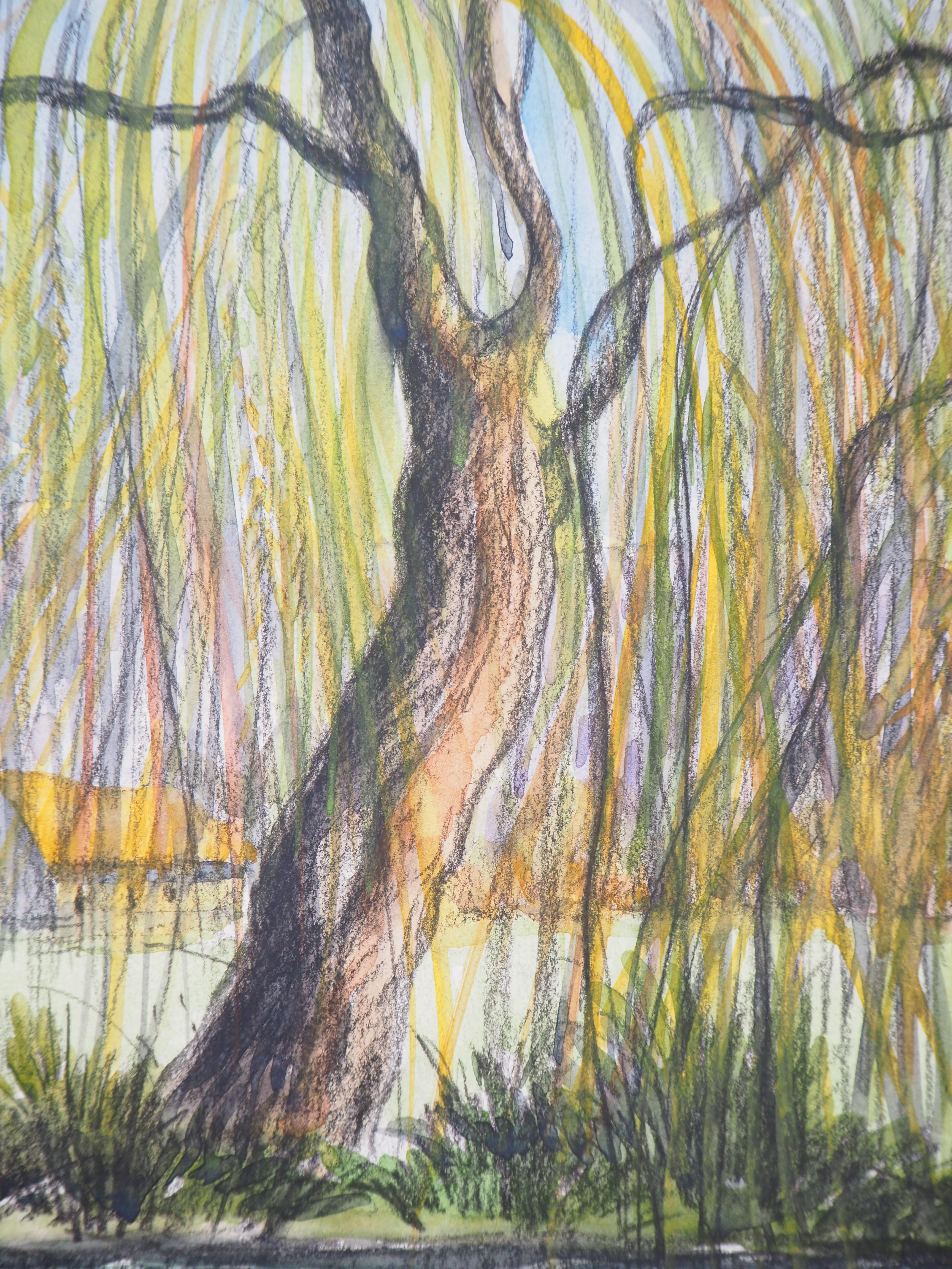 willow tree watercolor