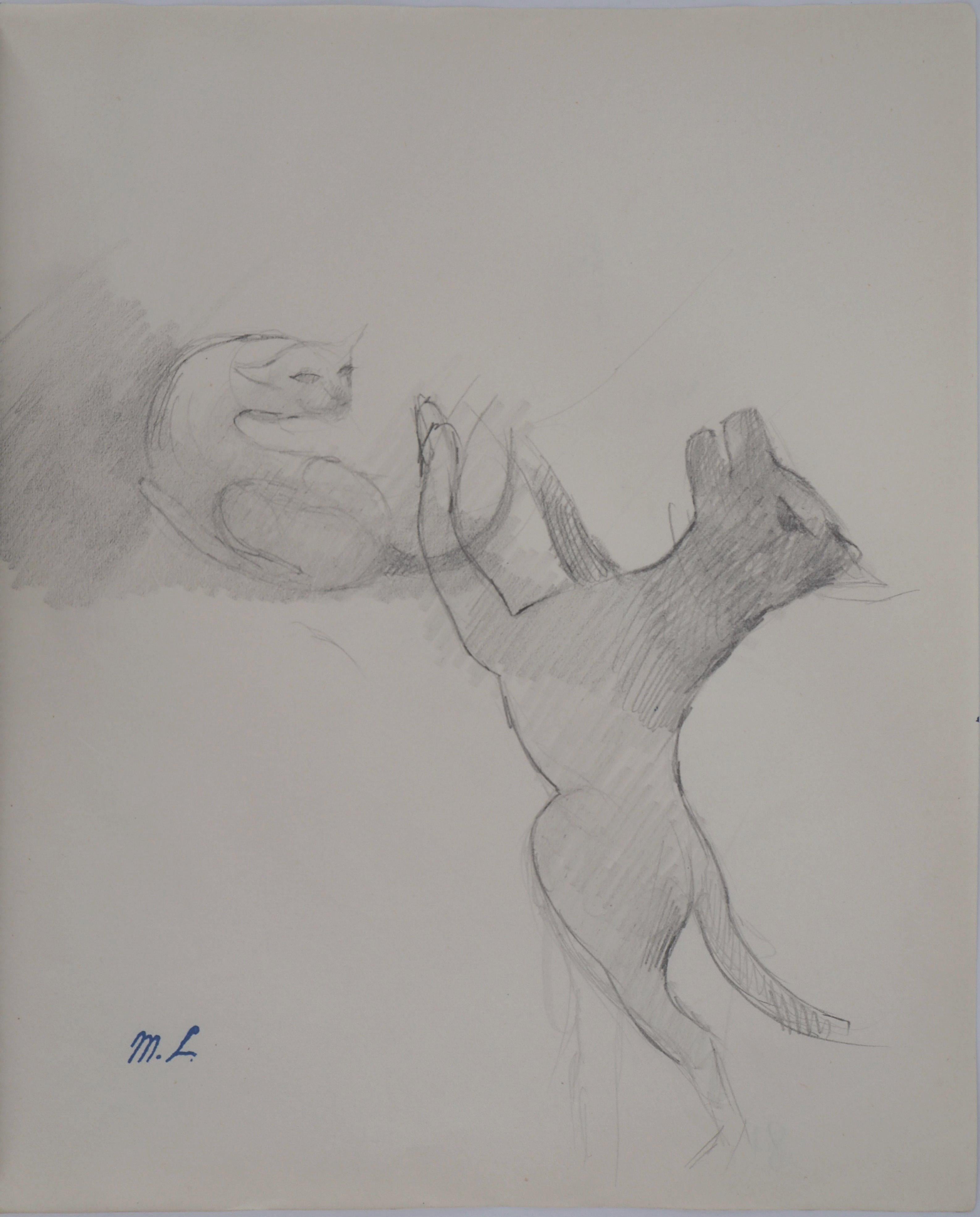 Cat and Dog Playing - Original pencil drawing, 1953