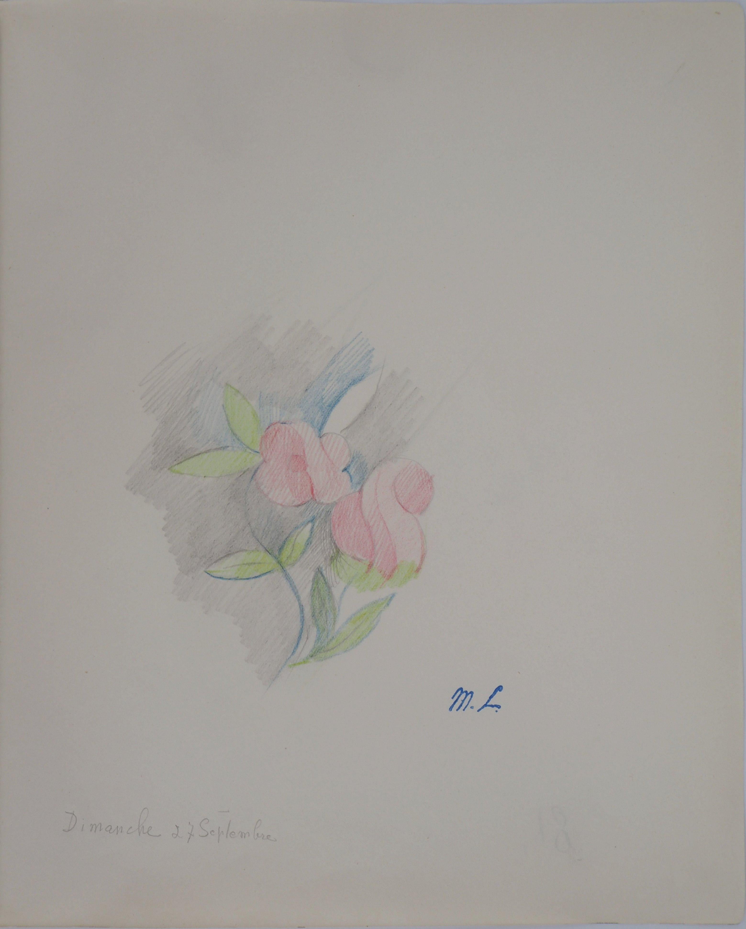 Bunte Blumen – Original-Blumenzeichnung mit Bleistift, 1953