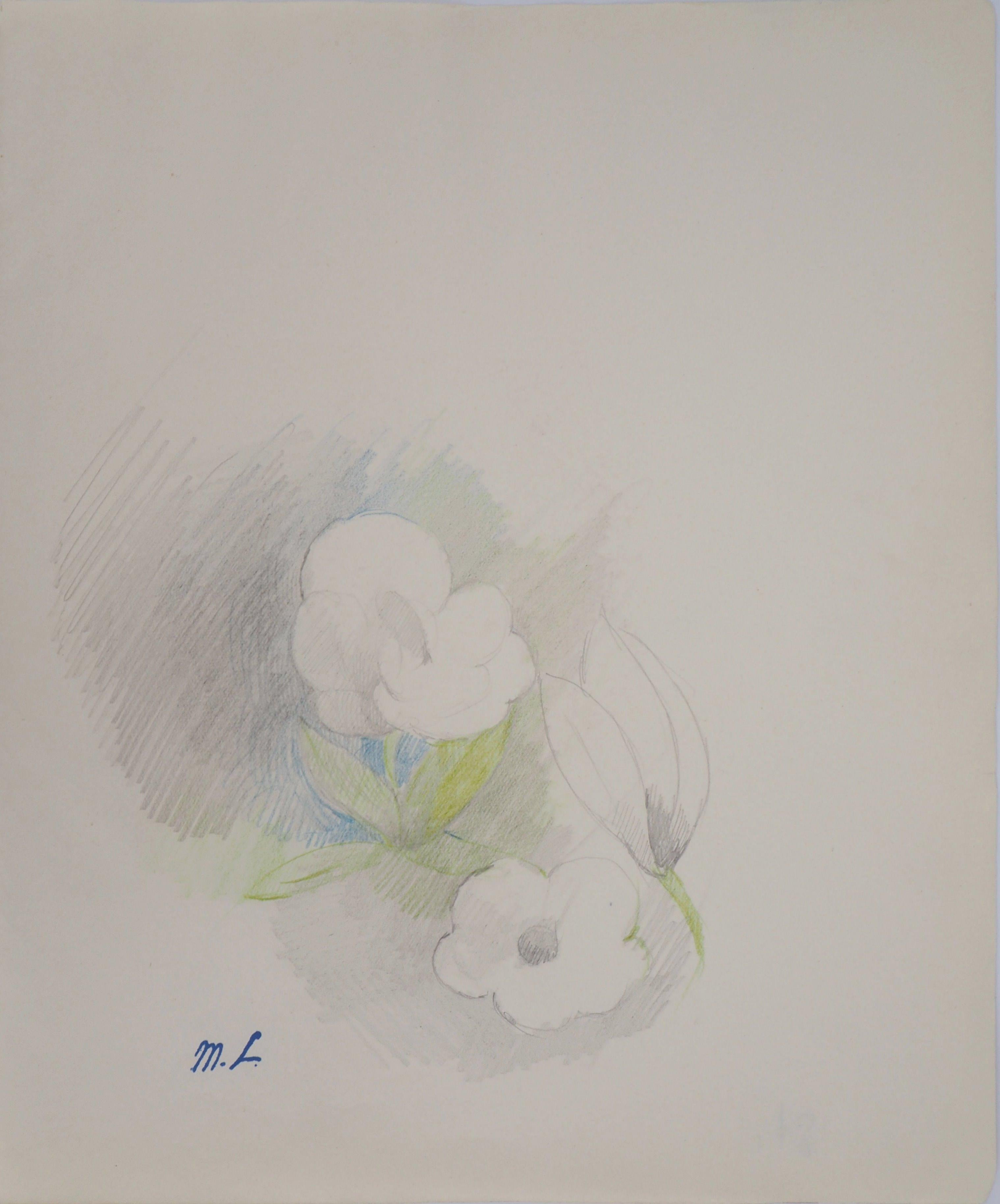 Marie Laurencin Landscape Art - Mirabilis - Original pencil drawing, 1953