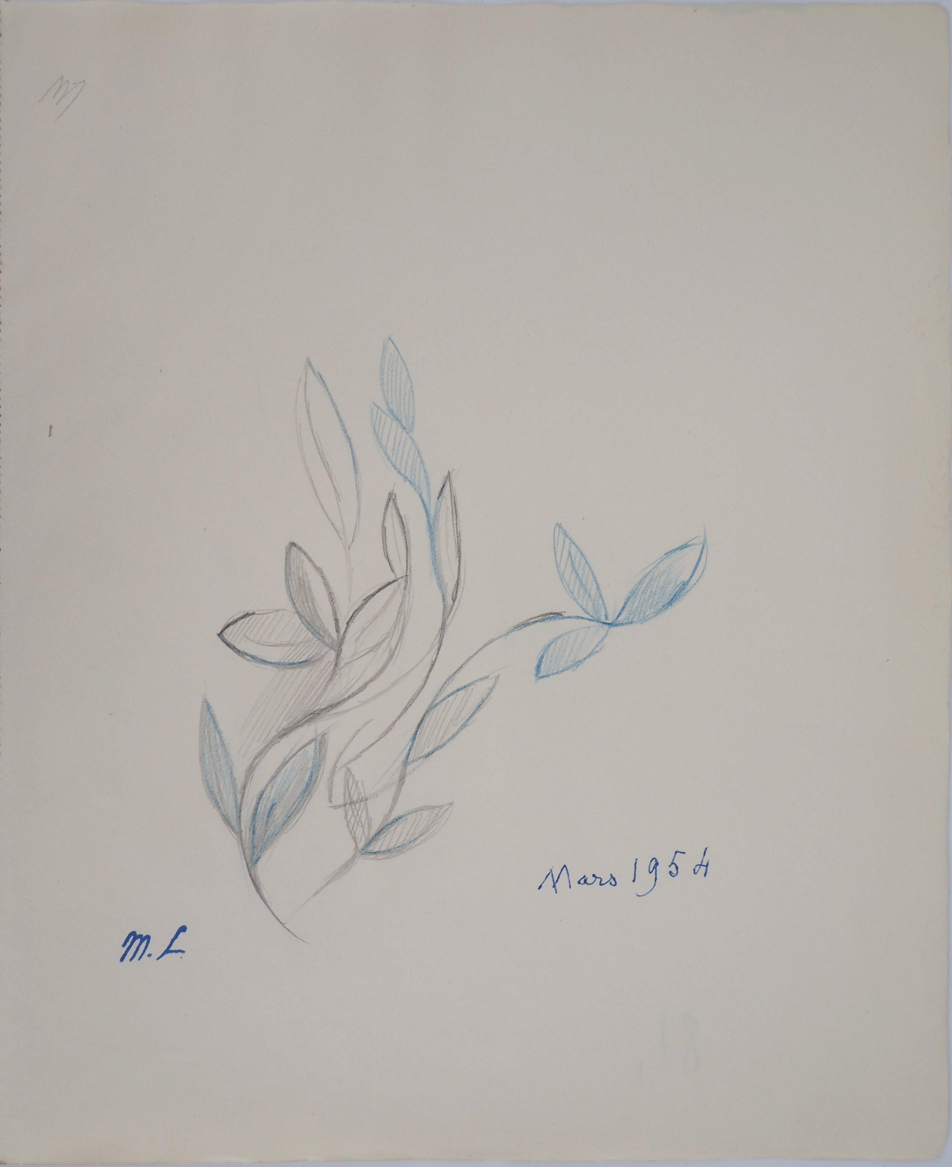 Spring Blossom : Feuilles en Bleu - dessin original au crayon, 1953