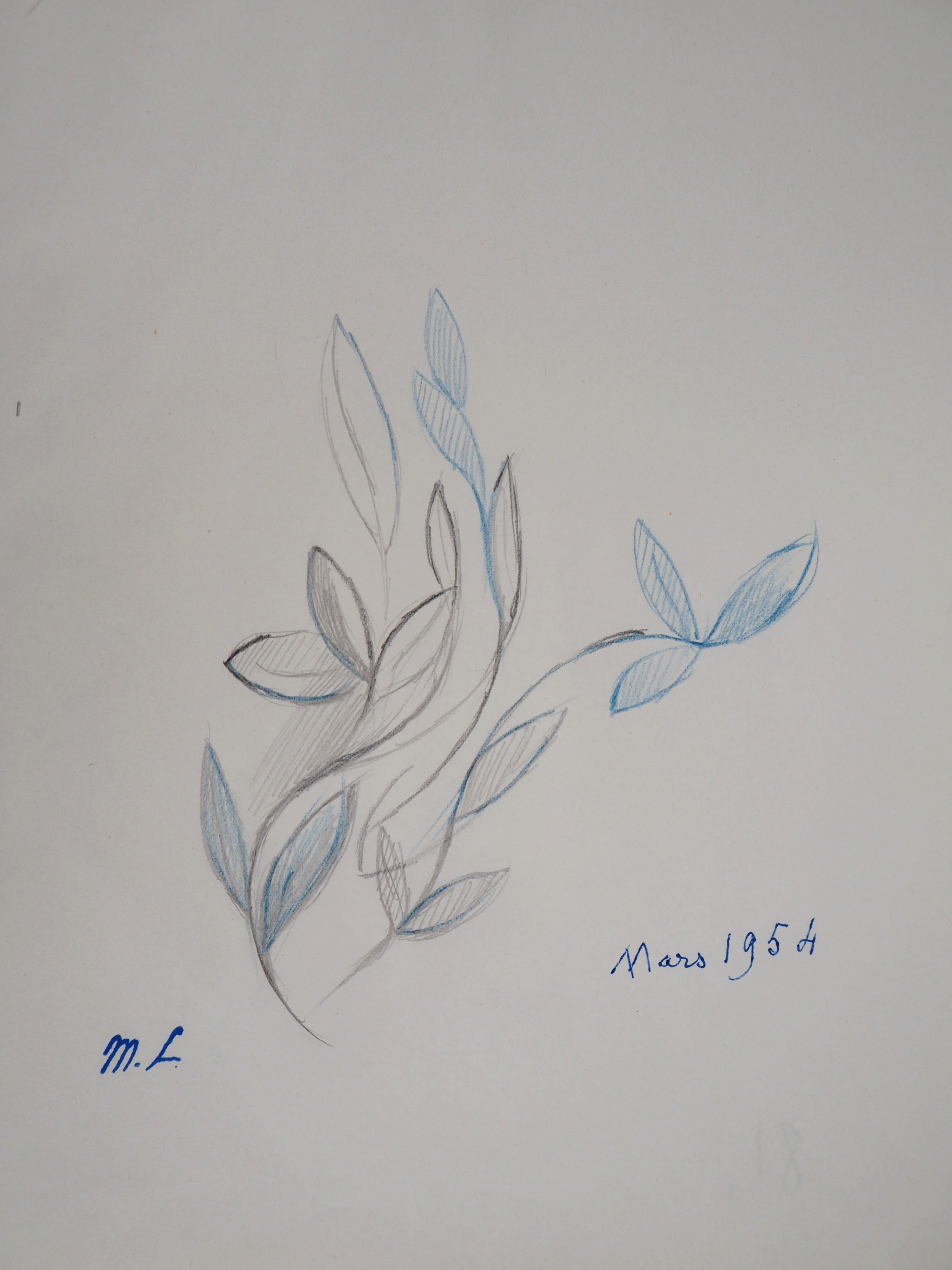 Marie LAURENCIN
Fleur de printemps : feuilles en bleu, 1953

Dessin original au crayon 
Cachet de l'artiste signé
Sur papier 24,5 x 19,5 cm (environ 9,6 x 7,6 pouces)

Très bon état, marques de la manipulation sur le papier