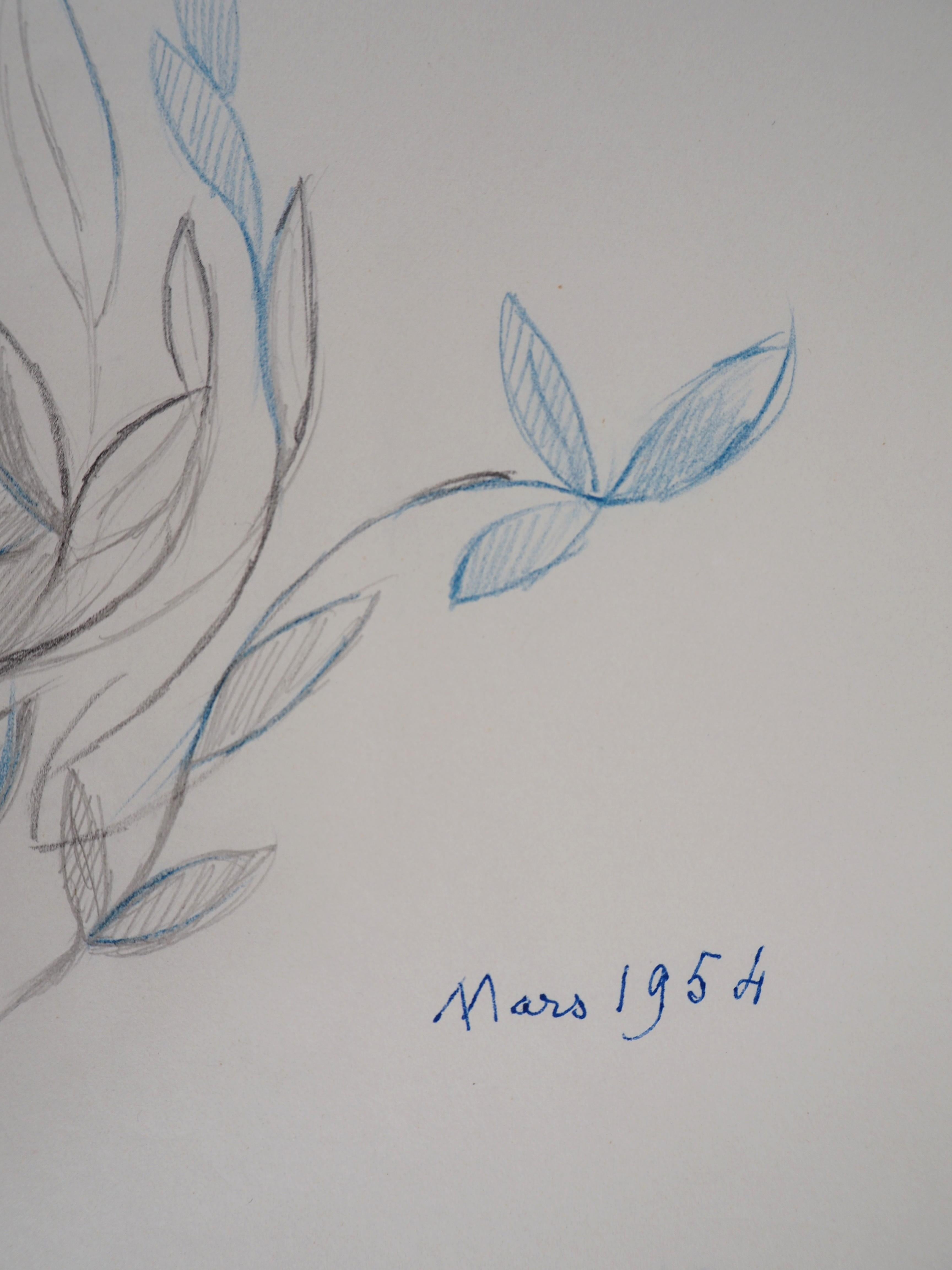 Spring Blossom : Feuilles en Bleu - dessin original au crayon, 1953 - Moderne Art par Marie Laurencin