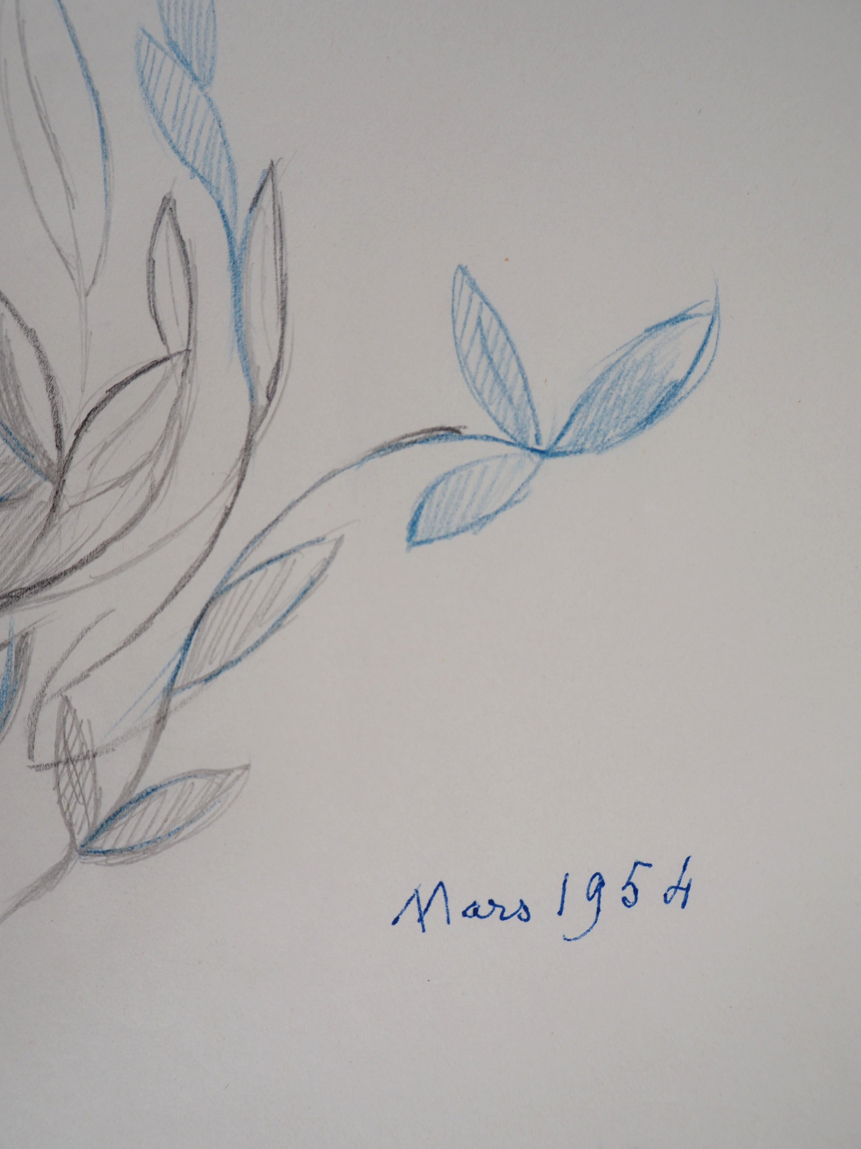 Spring Blossom : Blätter in Blau – Original Bleistiftzeichnung, 1953 (Moderne), Art, von Marie Laurencin