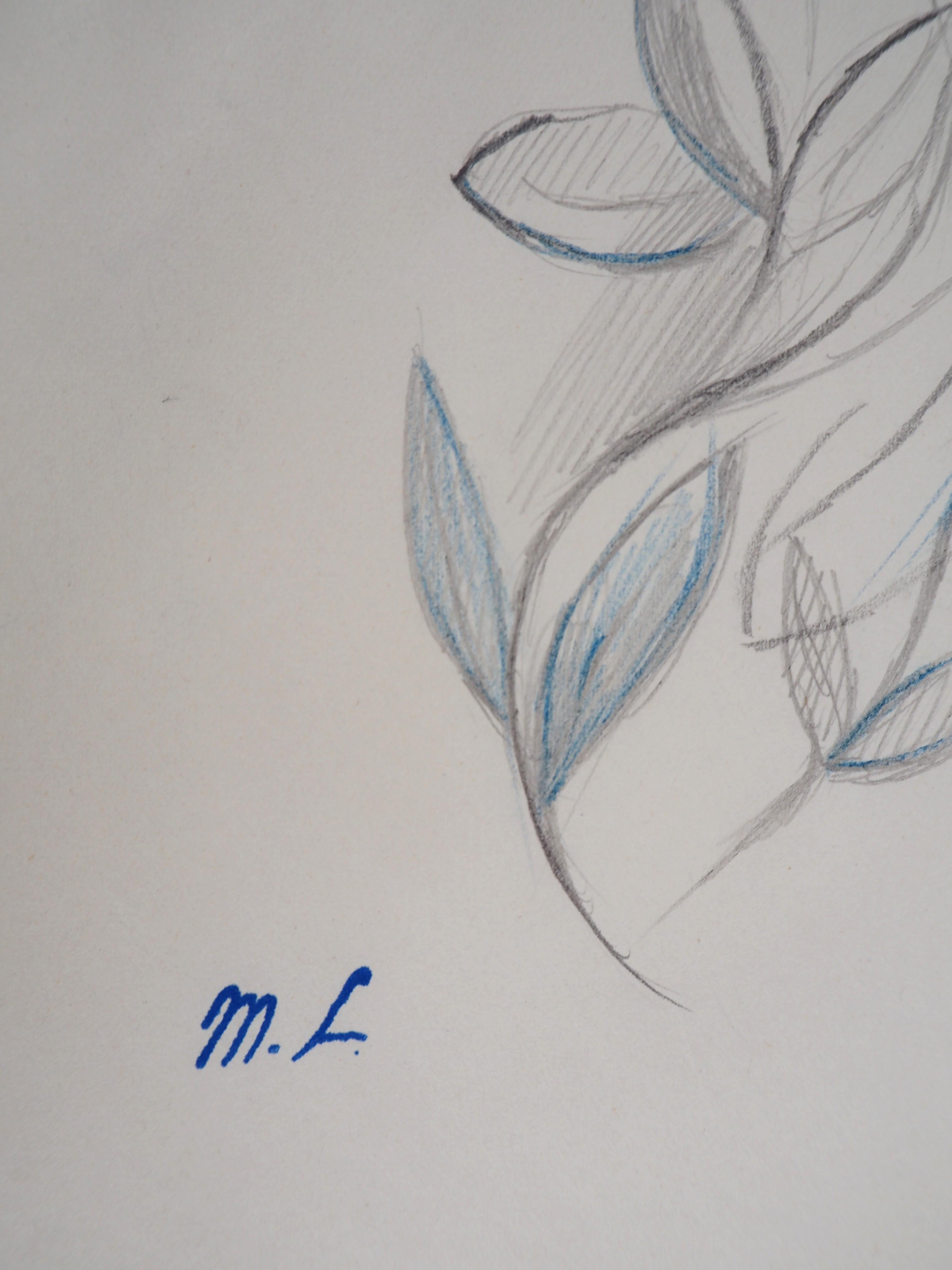 Spring Blossom : Leaves in Blue - Original pencil drawing, 1953 - Art by Marie Laurencin