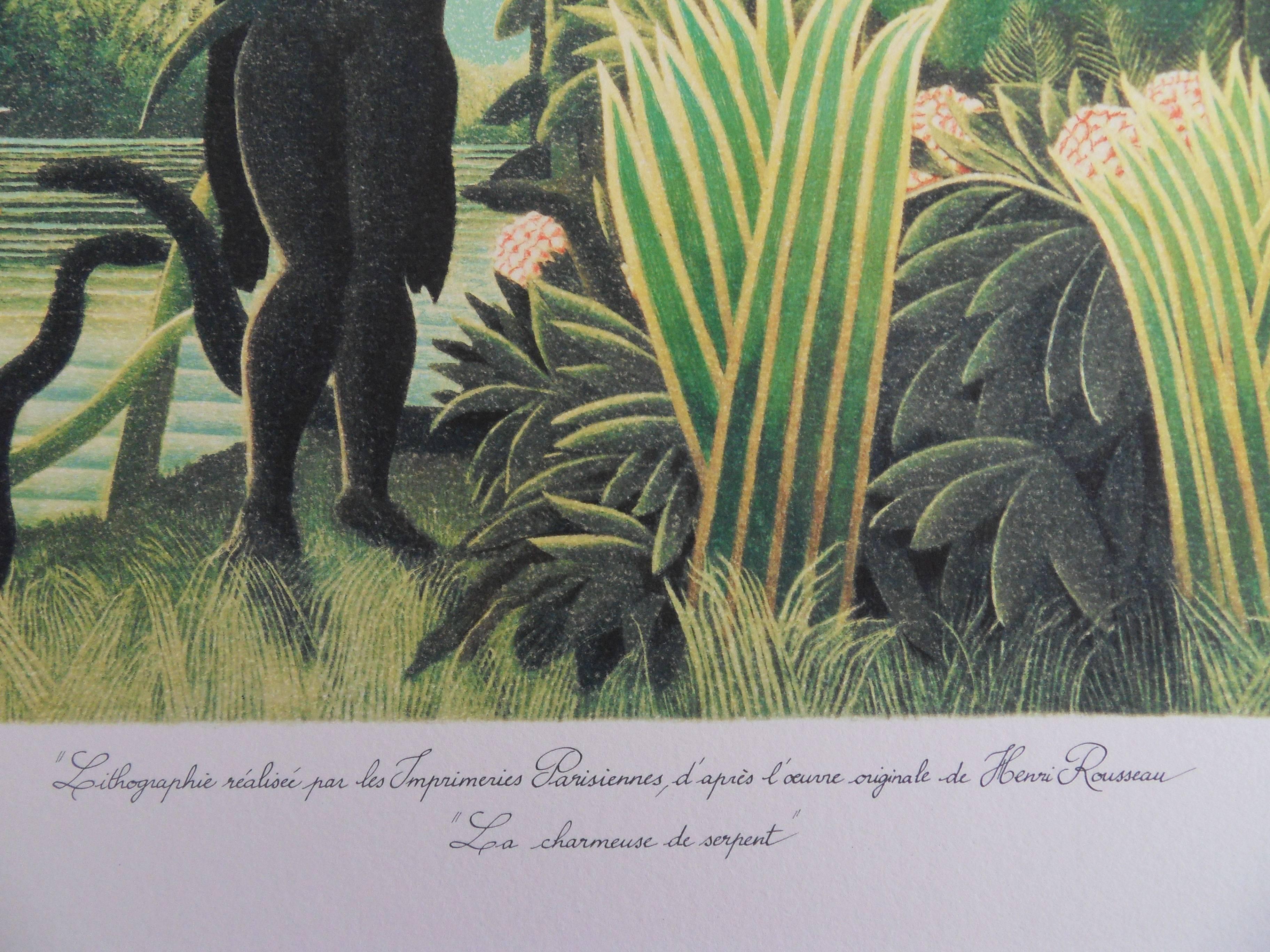 The Snake Charmer - Lithograph - Limited /300ex - Gray Figurative Print by Henri Rousseau