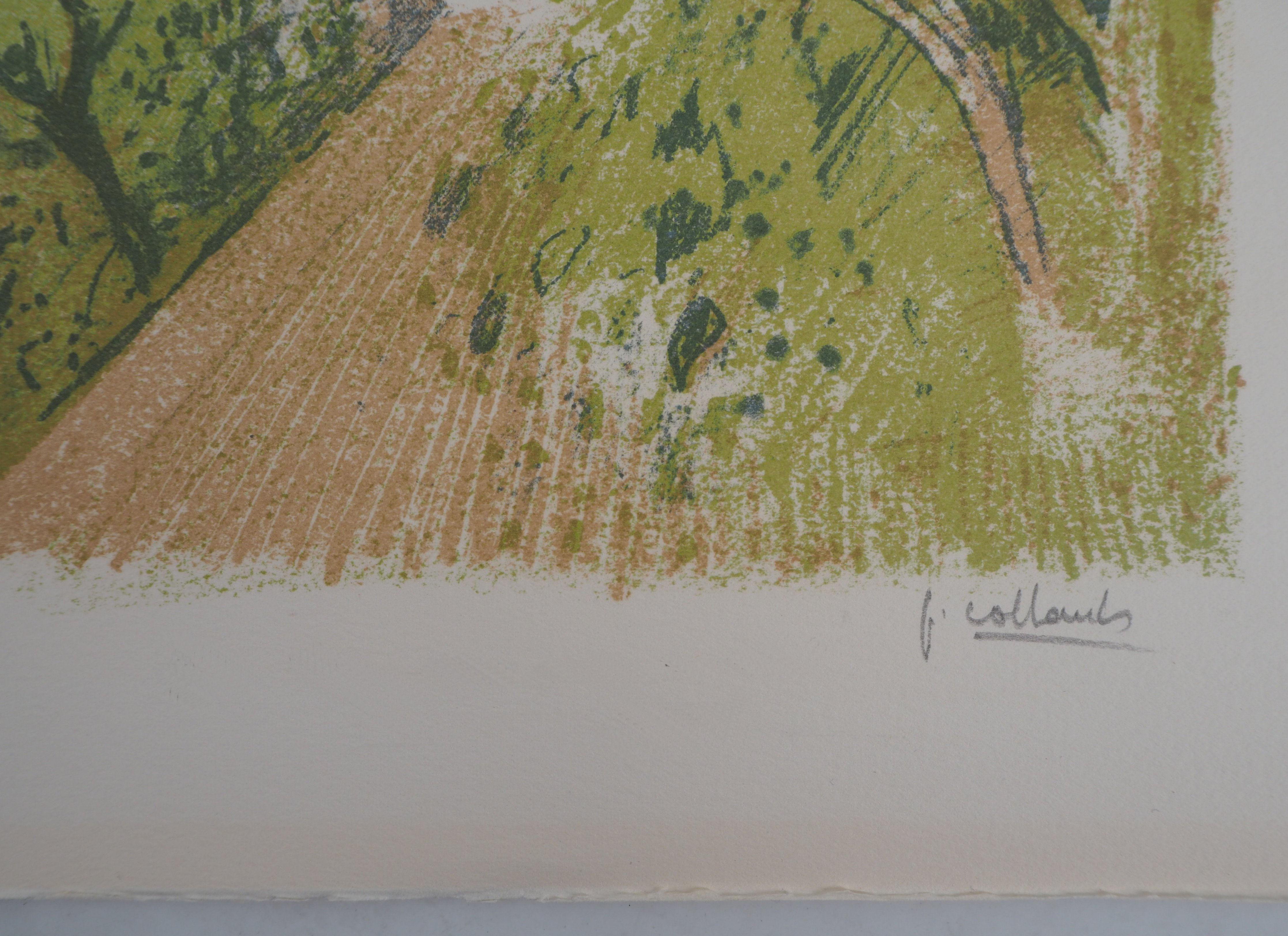 Parigi: fiume Senna - Litografia originale, firmata con la mano - Landscape Print Marrone di Paul Collomb