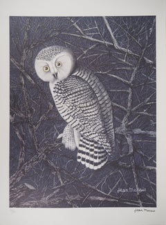 The Owl - Lithograph, Ltd 50 copies