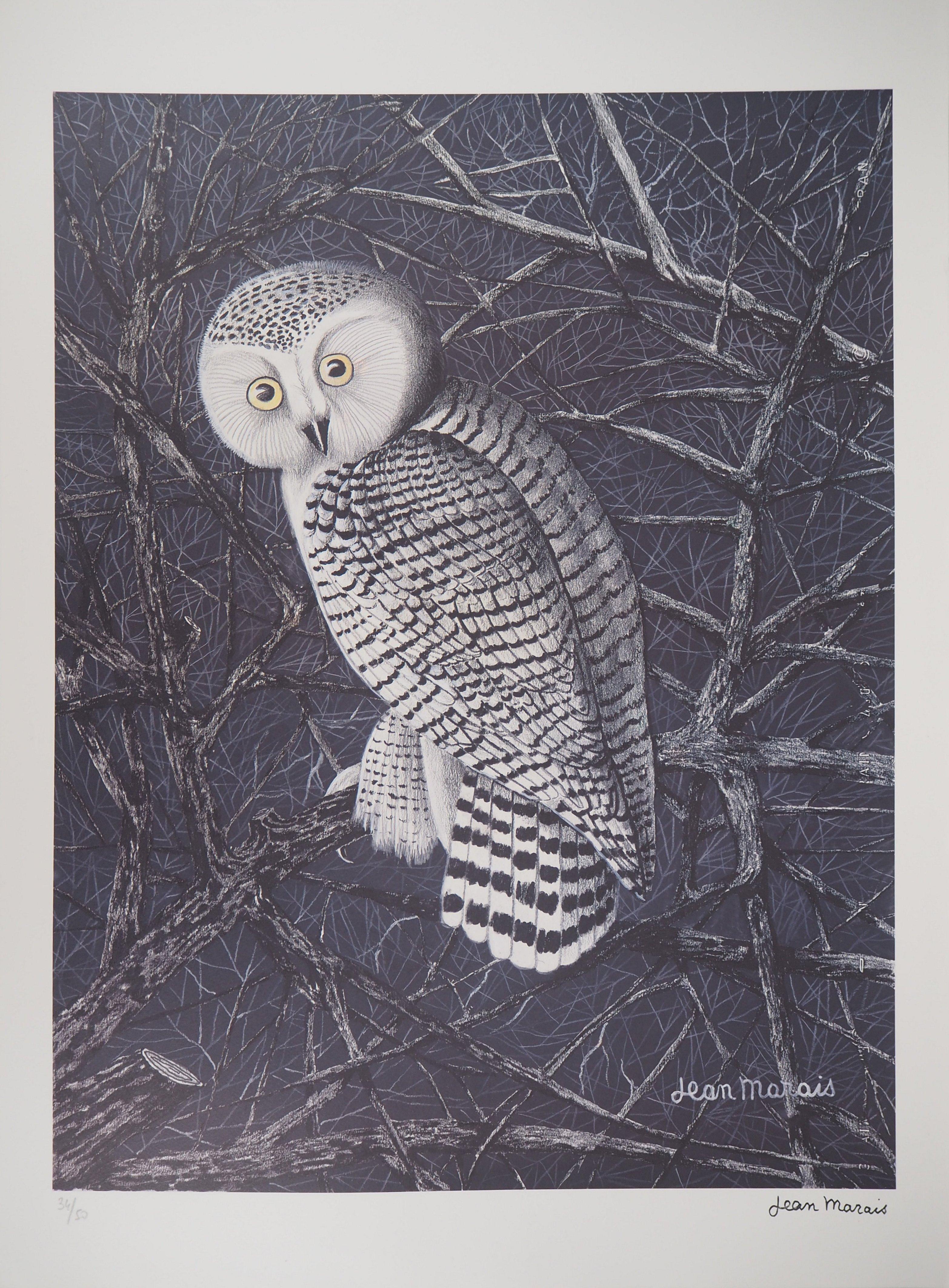 Jean Marais Animal Print - The Owl - Lithograph, Ltd 50 copies