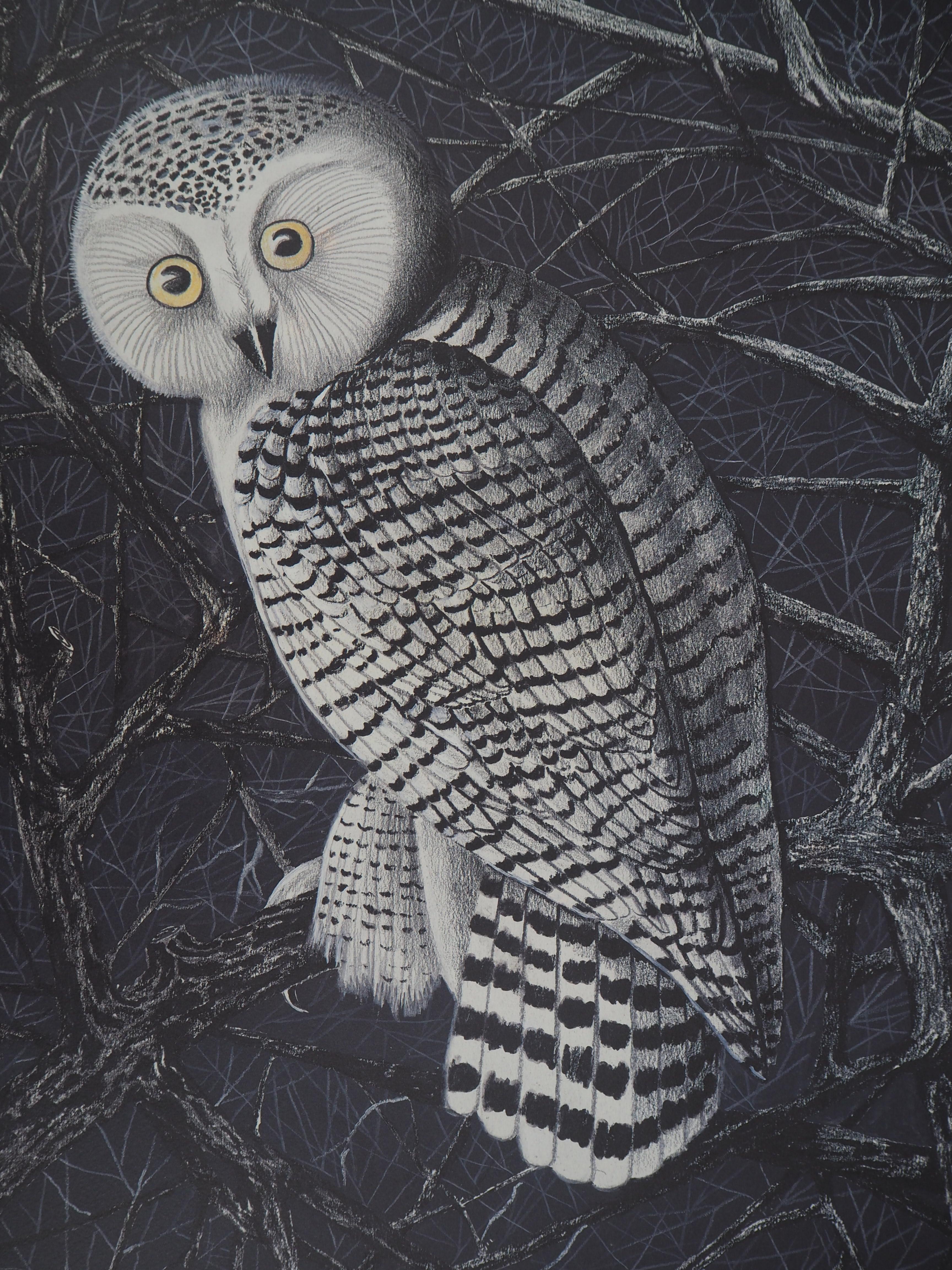 The Owl - Lithograph, Ltd 50 copies - Modern Print by Jean Marais