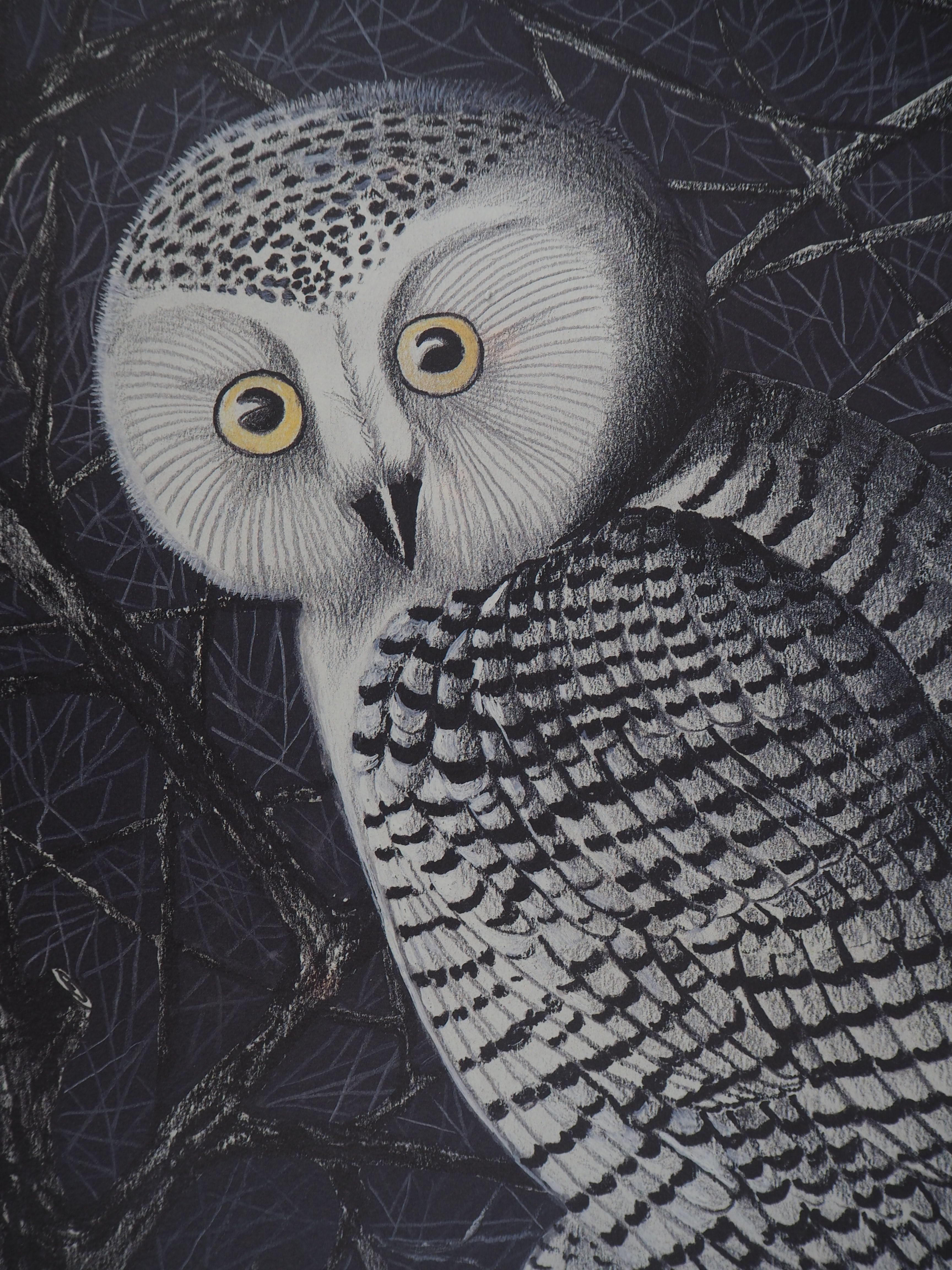 The Owl - Lithograph, Ltd 50 copies - Gray Animal Print by Jean Marais