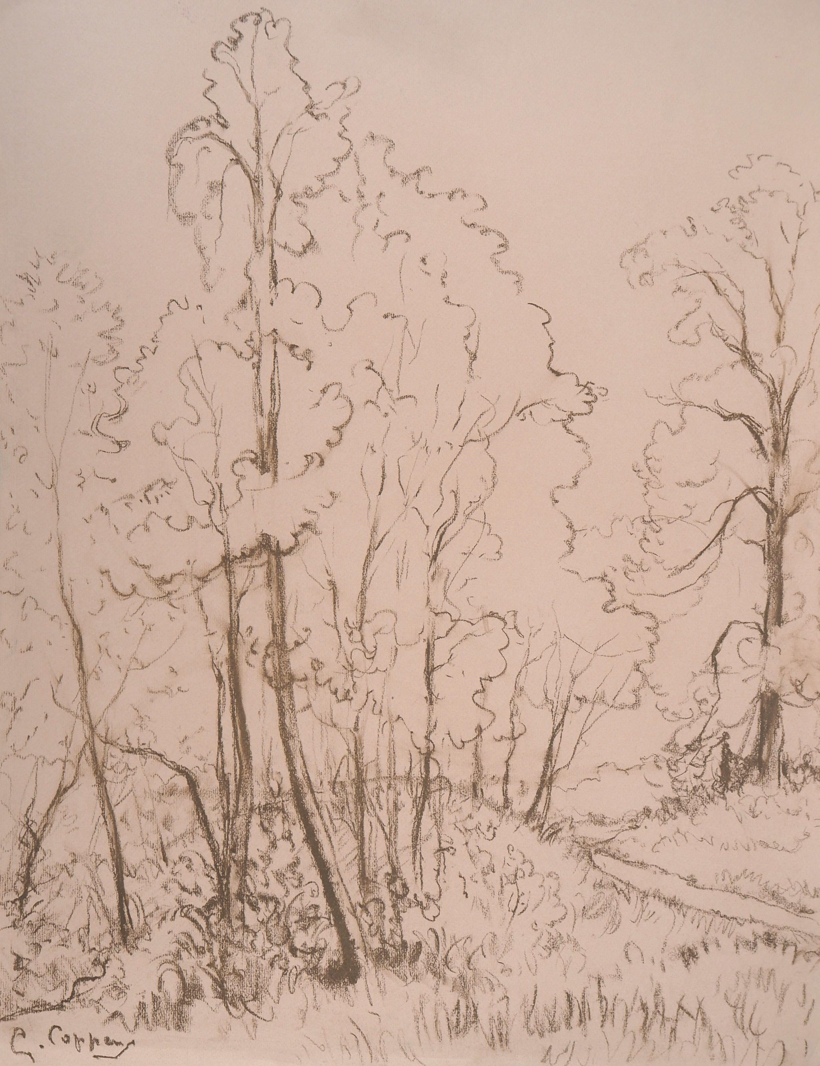 Gaston Coppens Landscape Art - Morning in the Forest - Original Signed Charcoals Drawing