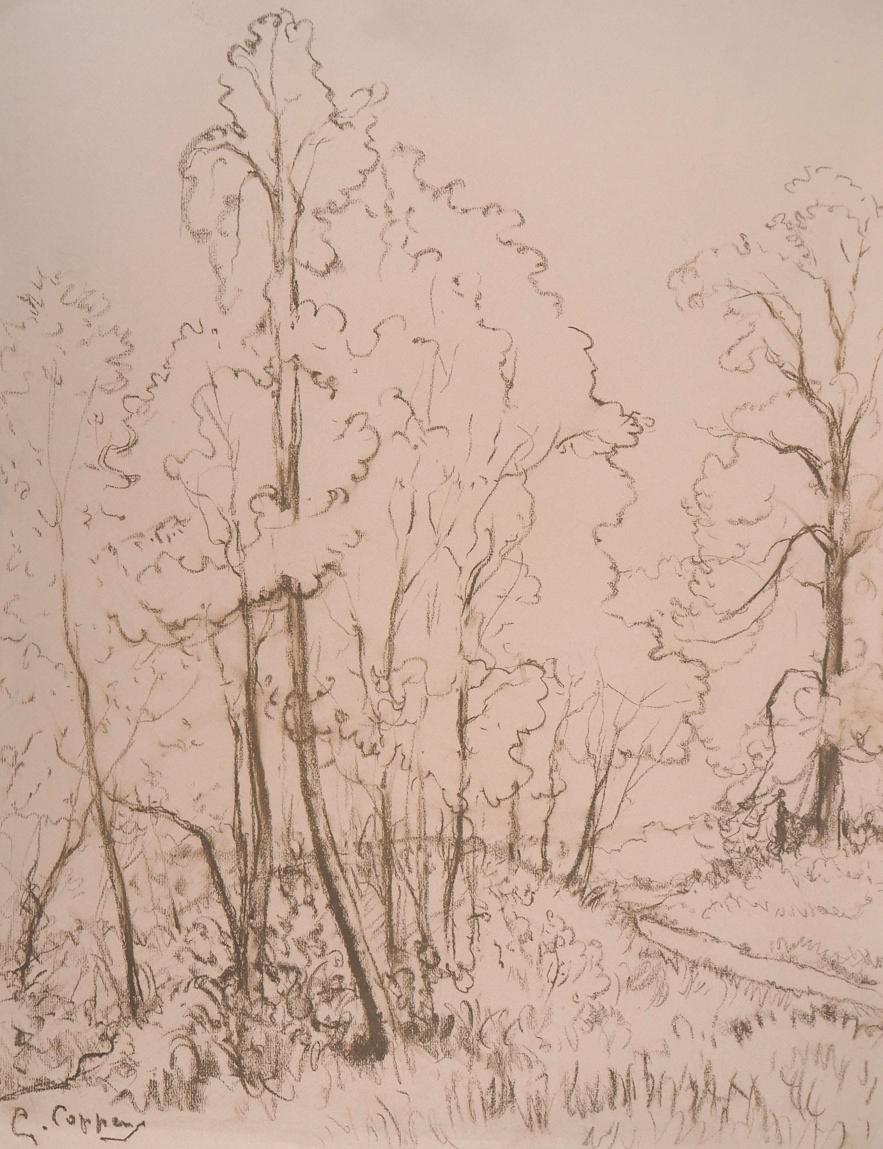 Landscape Art di Gaston Coppens - Mattina nella foresta - Disegno originale a carboncino firmato