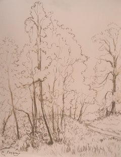 Vintage Morning in the Forest - Original Signed Charcoals Drawing