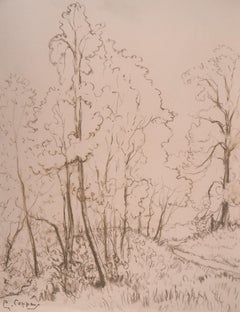 Morning in the Forest - Drawing original signé des anthracites