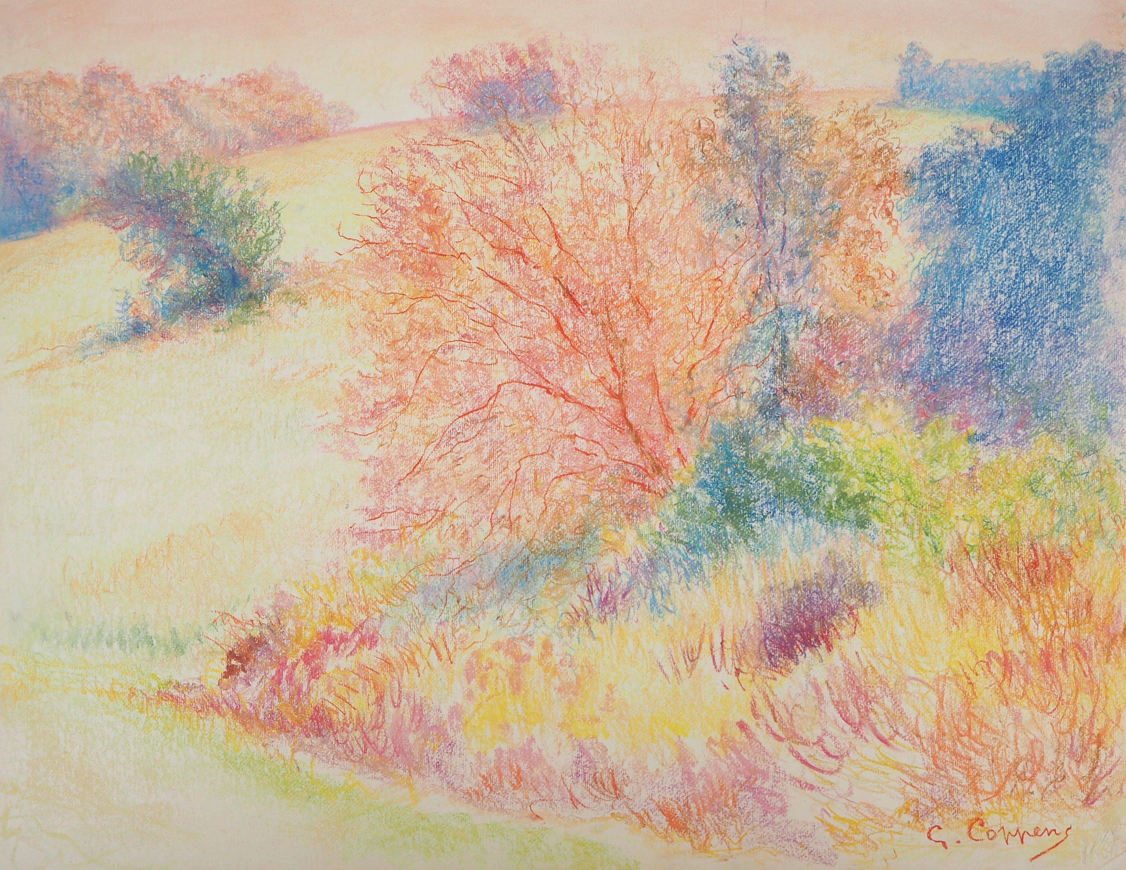 Gaston Coppens Landscape Art - Autumn Charm - Original Signed Charcoals Drawing