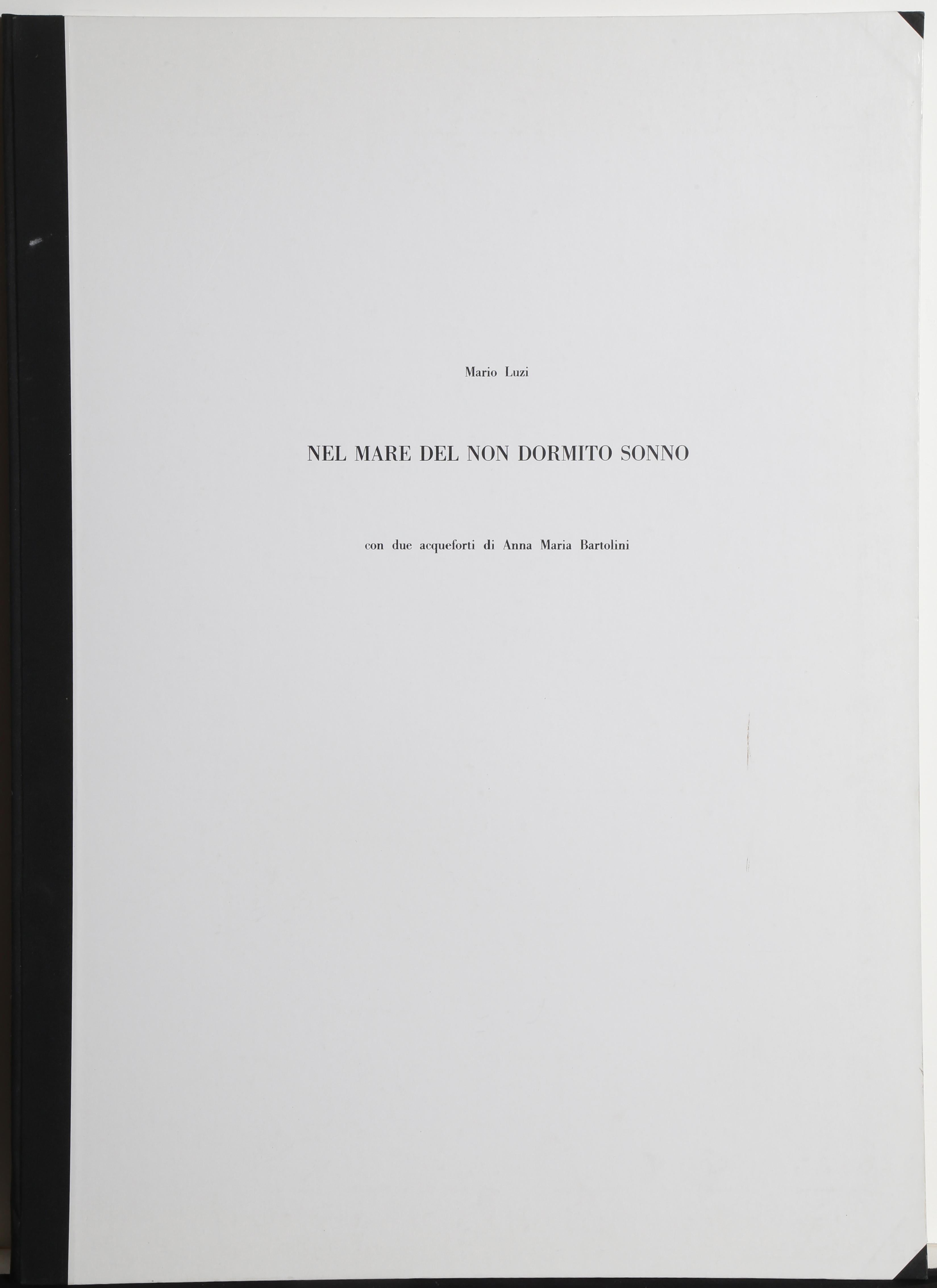 Artista: Anna Maria Bartolini, italiana (1934 - 2013)
Título: Nel Mare del Non Dormito Sonno
Año: 1986
Soporte: Carpeta con 2 Aguafuertes, firmados y numerados y Poema de Mario Luzi, firmado a lápiz
Edición: 30/2
Tamaño: 71,12 x 49,53 cm (impresión