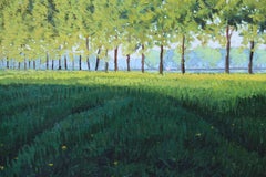 Ombre Lunghe in Risaia (Long Shadows in Paddy Field), Oil Painting