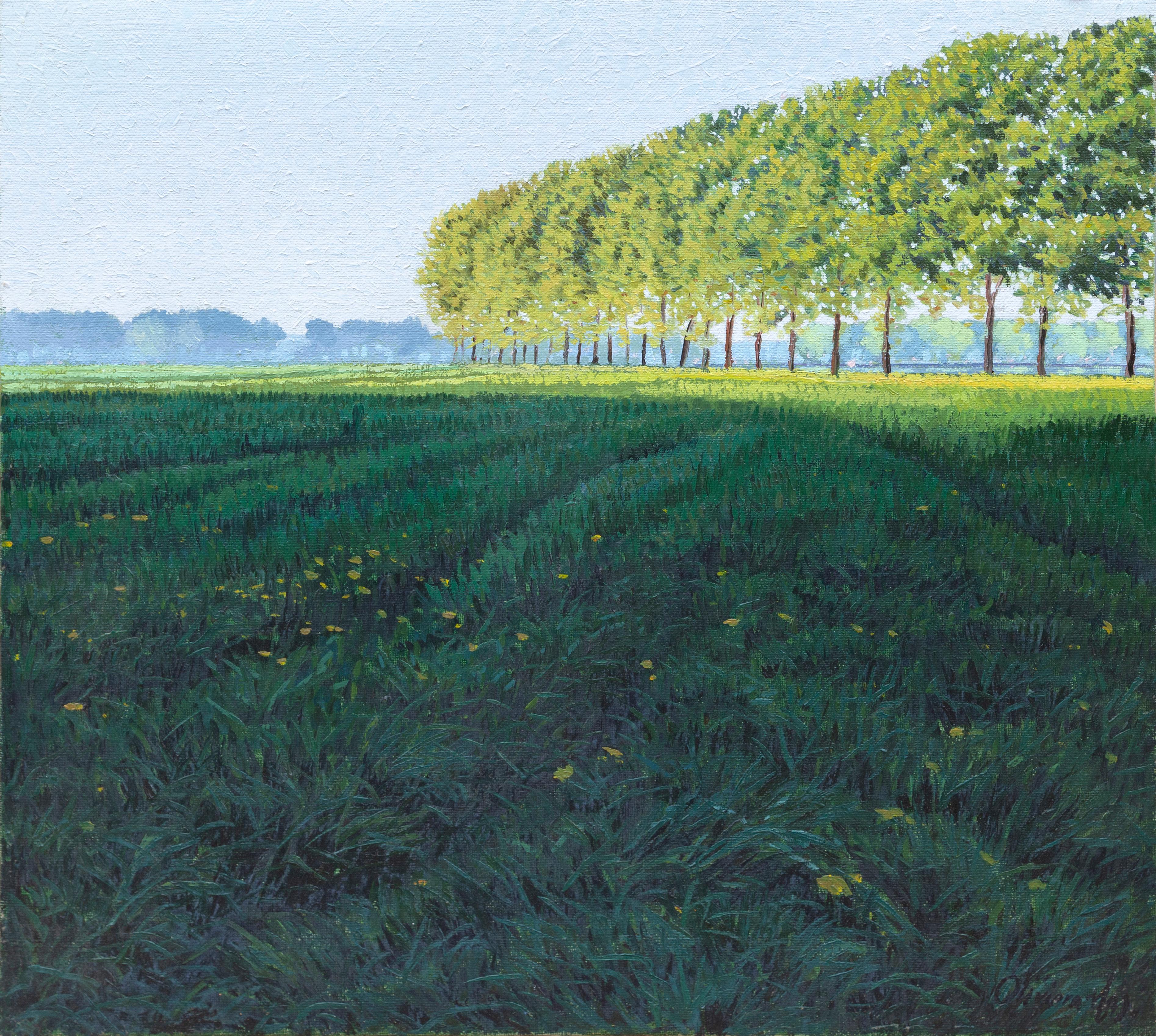 Oliviero Masi Landscape Painting - Ombre Lunghe in Risaia (Long Shadows in Paddy Field), Oil Painting