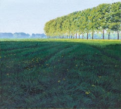 Vintage Ombre Lunghe in Risaia (Long Shadows in Paddy Field), Oil Painting