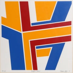 Vintage Chromatic Transit, Abstract Screenprint by Thomas Lahy