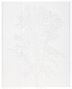 Numbers and Trees