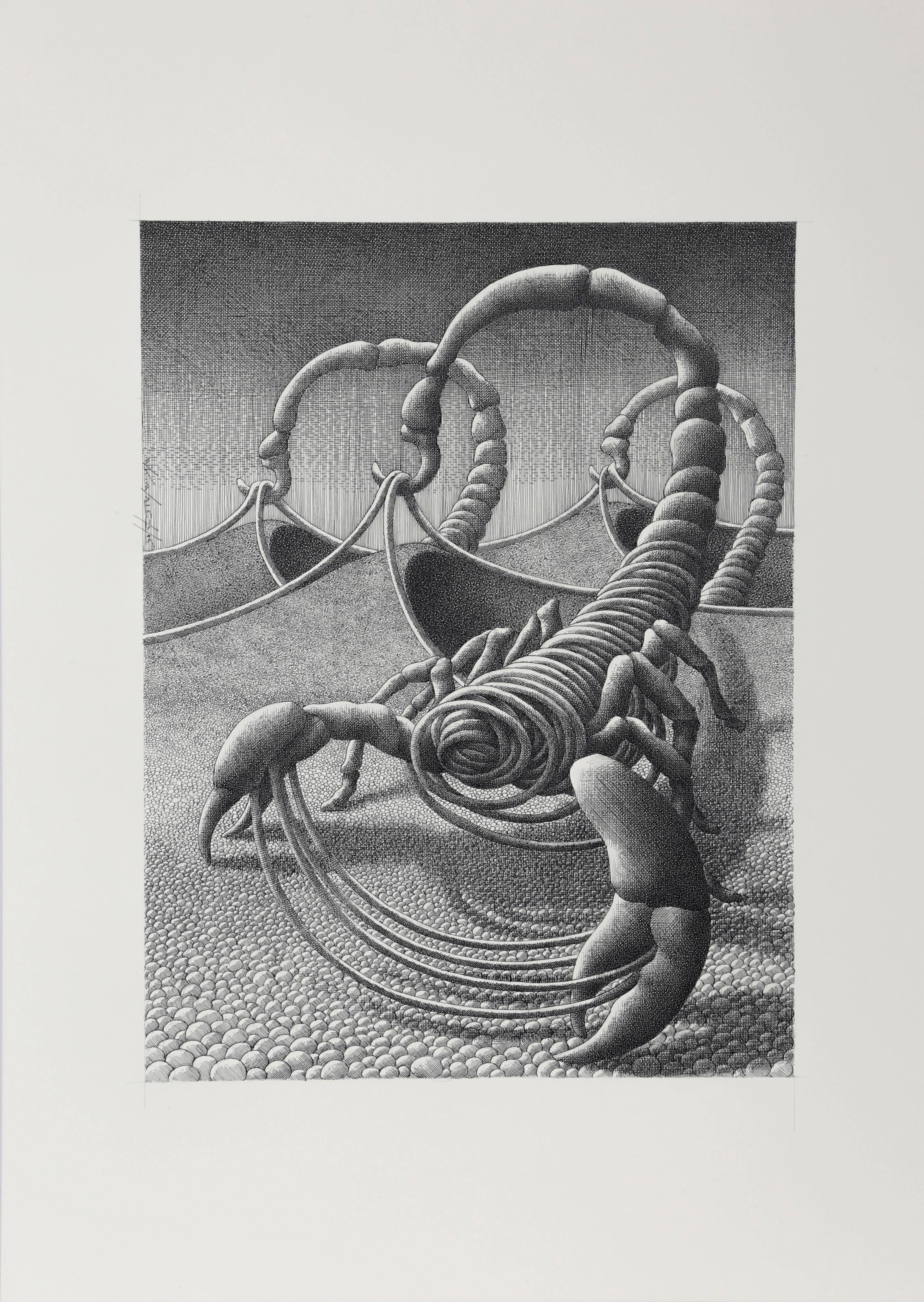 A detailed and hand-drawn work on paper by Polish artist Wojtek Kowalczyk of scorpions in sand dunes. The scorpions, however, are made of twining ropes that seem to be pulled by their hooked tails from the tops of the dunes themselves. This