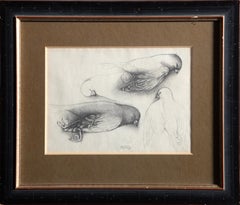 Doves, Signed Graphite Drawing by Bruno Bruni
