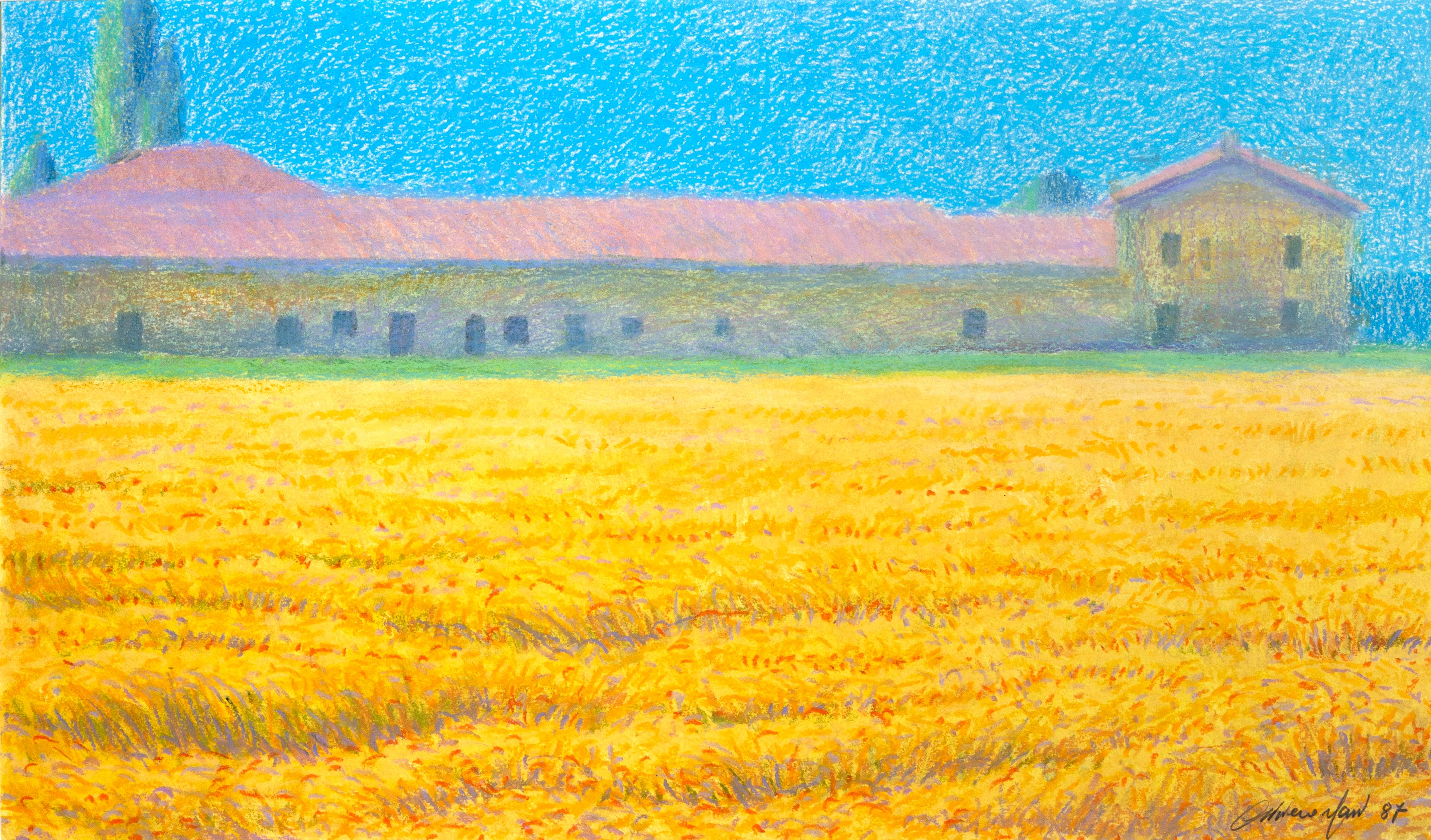 Le champ de blé et la maison, signé Pastel sur papier par Oliviero Masi en vente 1