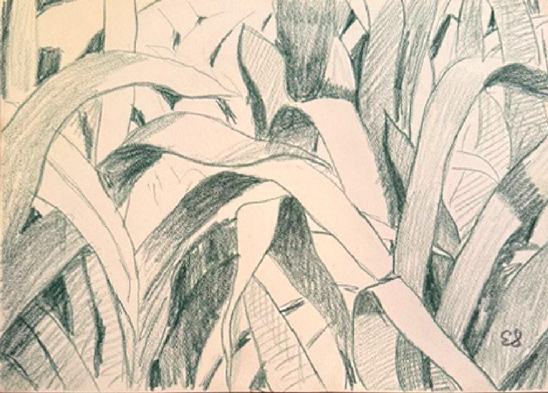 Green Grass, Signed Crayon on Paper Still Life by Emilio Sanchez
