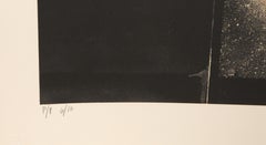 Metamorphosis, 80s New Wave Portrait Lithograph by Paul Chelko