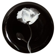 Robert Mapplethorpe, Poppy Flower Porcelain Plate
