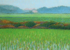 Campo fiorito, paesaggio a pastello - Pastello a olio di Oliviero Masi