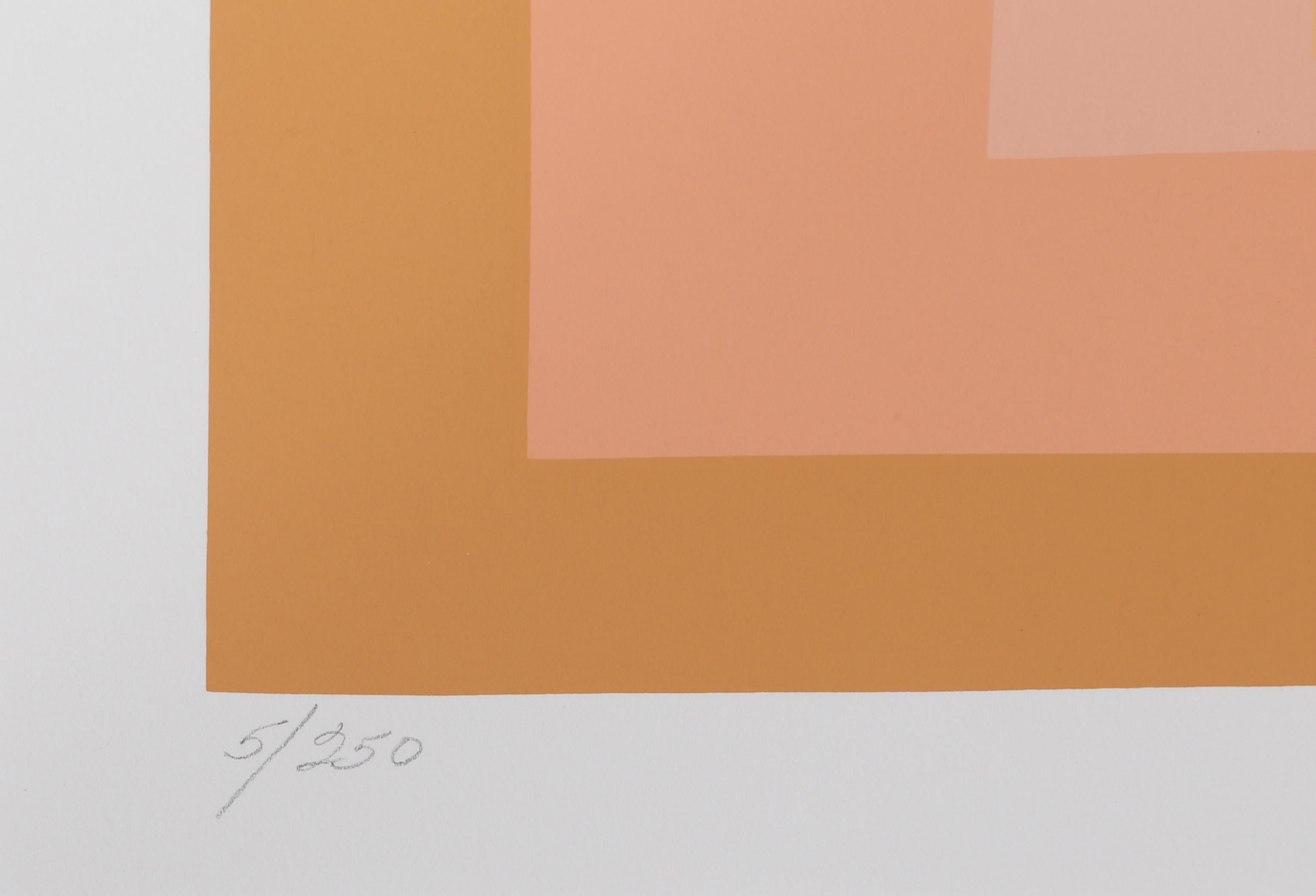 Homage to the Square (Spring), Geometric Screenprint by Barbara Lynch Zinkel 2