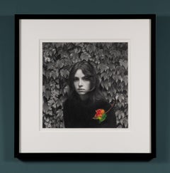 "Fall" drawing by Hiroshi Hayakawa