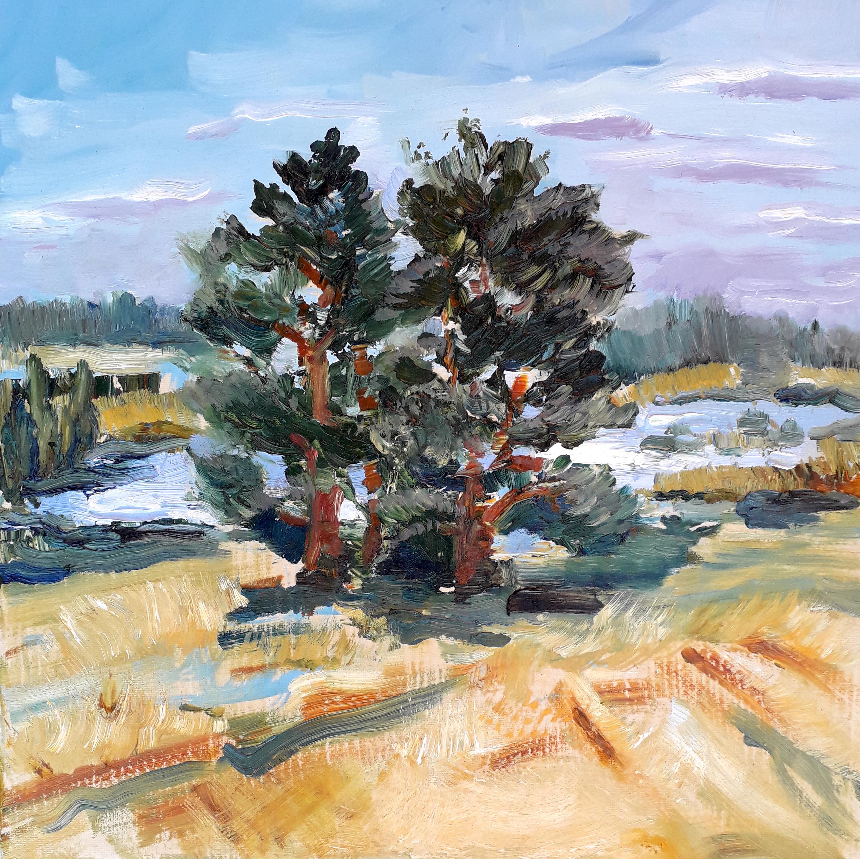 Signe Zusevica Landscape Painting - Pine Tree study original landscape painting