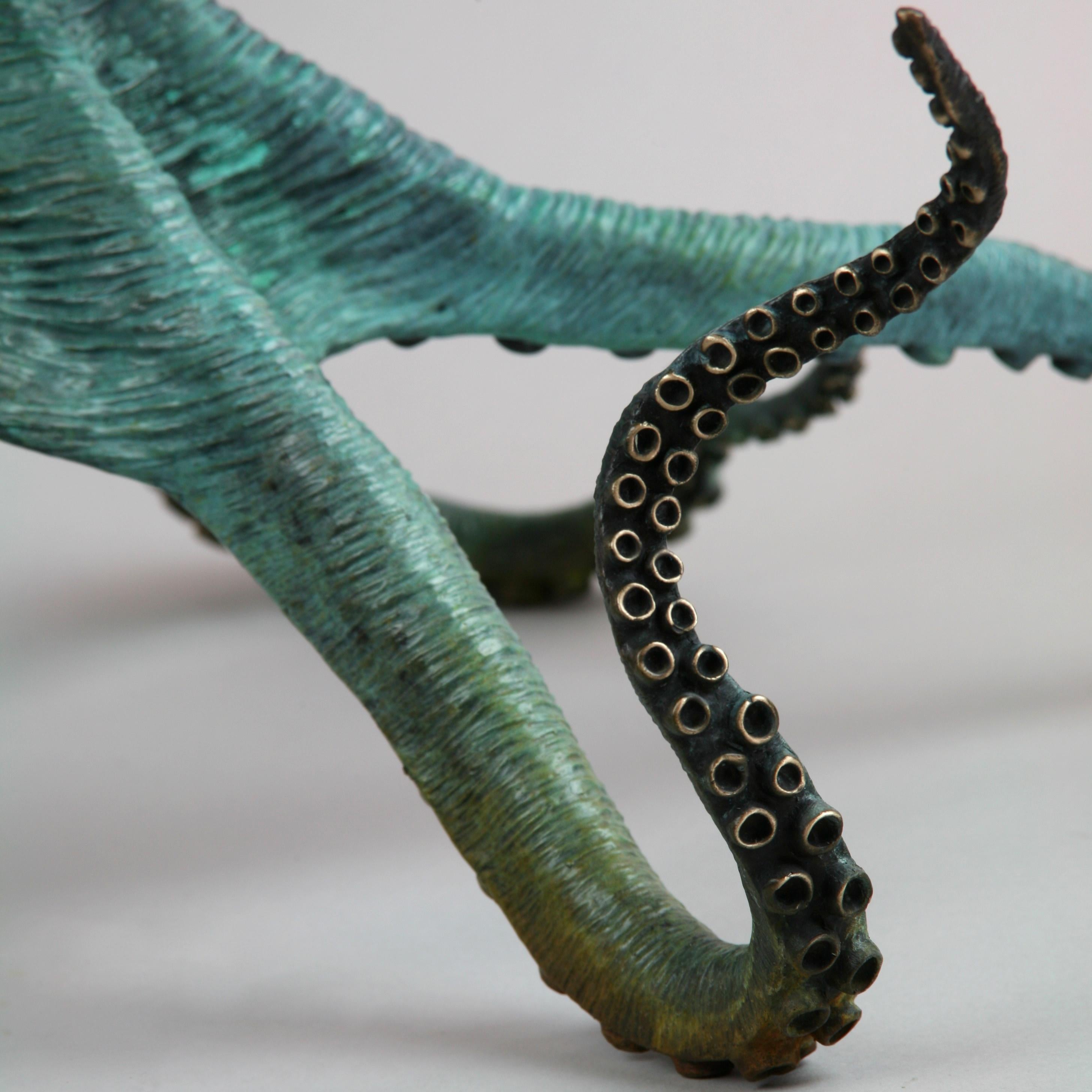 Octopus - bronze sculpture- limited edition- Modern- Contemporary  2