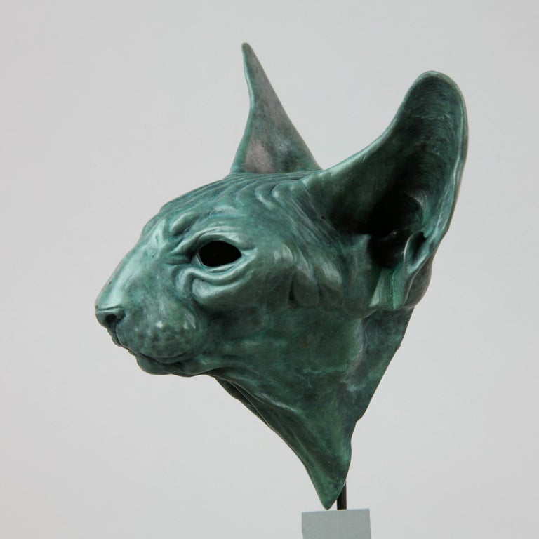 Andrzej Szymczyk Sphynx Cat Head bronze sculpture limited edition Modern Contemporary For