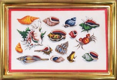 Chinese Export Watercolours on Pith Paper, set of twelve Shells