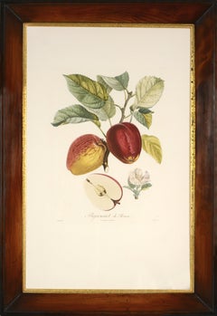 Art Deco Still-life Drawings and Watercolors