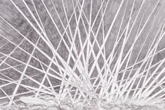 The Battle (1) Graphite Drawing on Archival Paper, Contemporary, 2010+