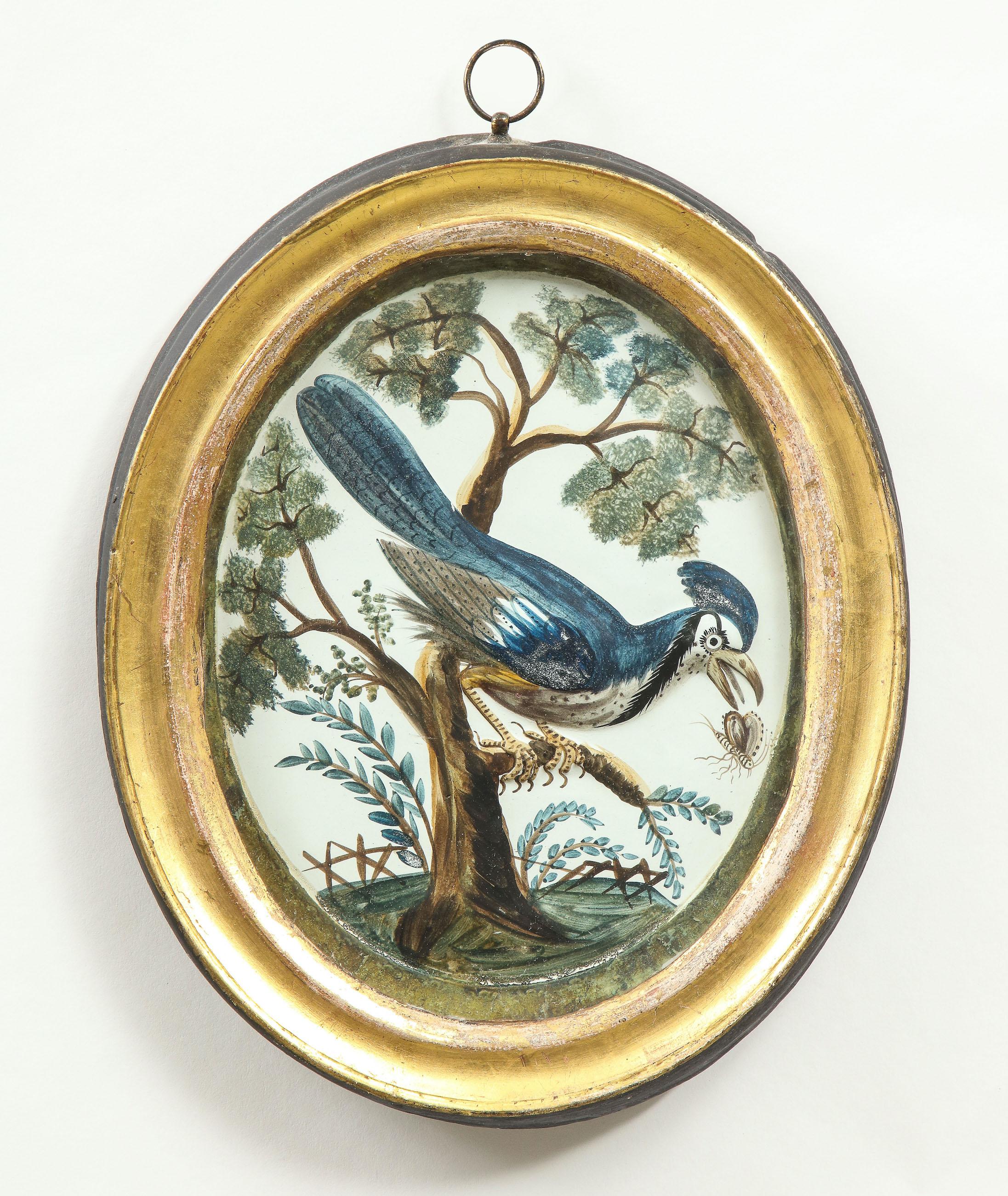 Unknown Animal Art - A George III Embossed Card Oval Picture of a Blue Jay