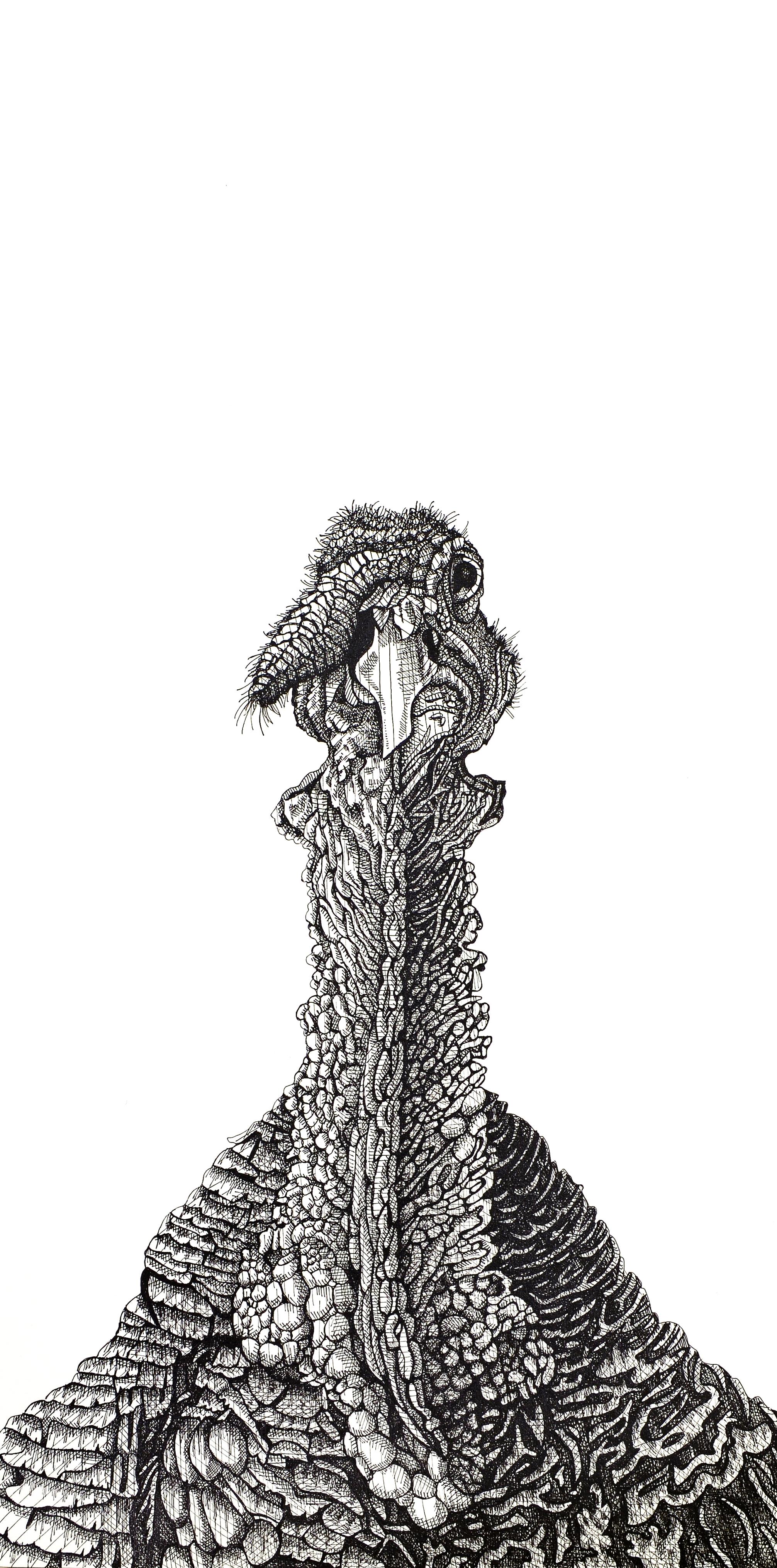 Animal Art de Arianna Fioratti Loreto - Turquía