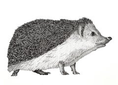 Hérisson