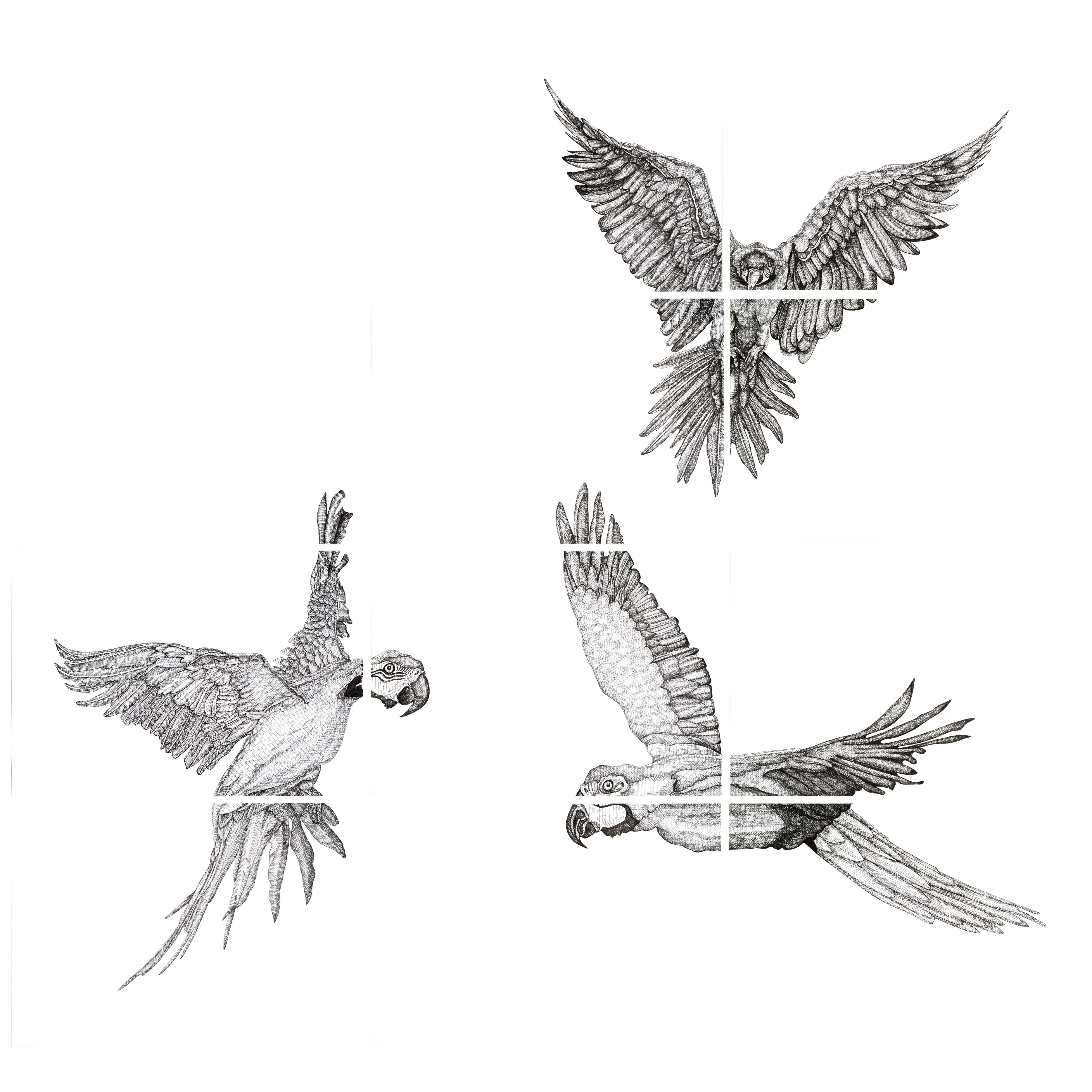 Animal Art di Arianna Fioratti Loreto - Pappagalli Volanti