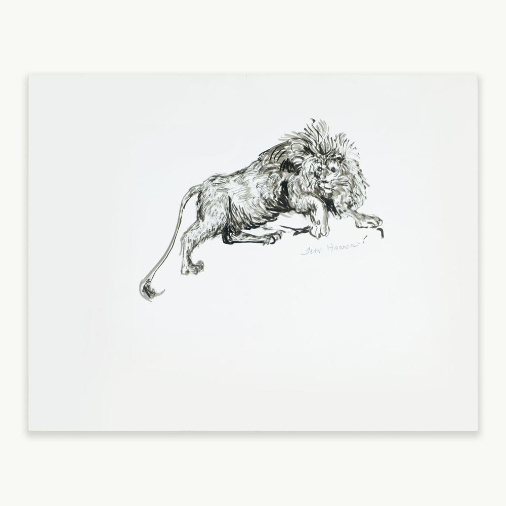 Oversized Animal Drawings and Watercolors