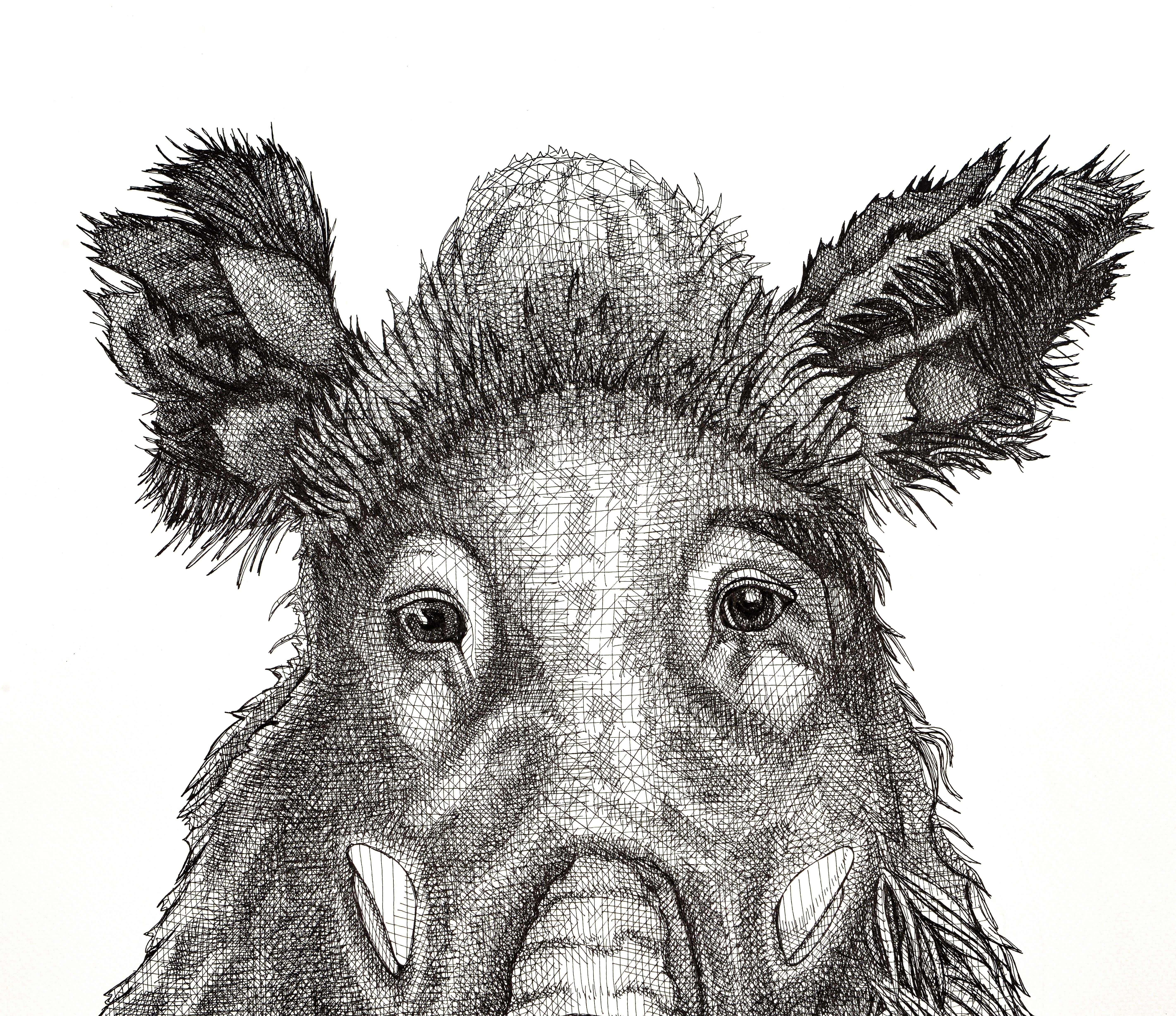 Wild Boar Affronté - Old Masters Art by Arianna Fioratti Loreto