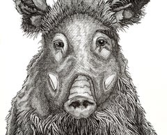 Sanglier Affronté
