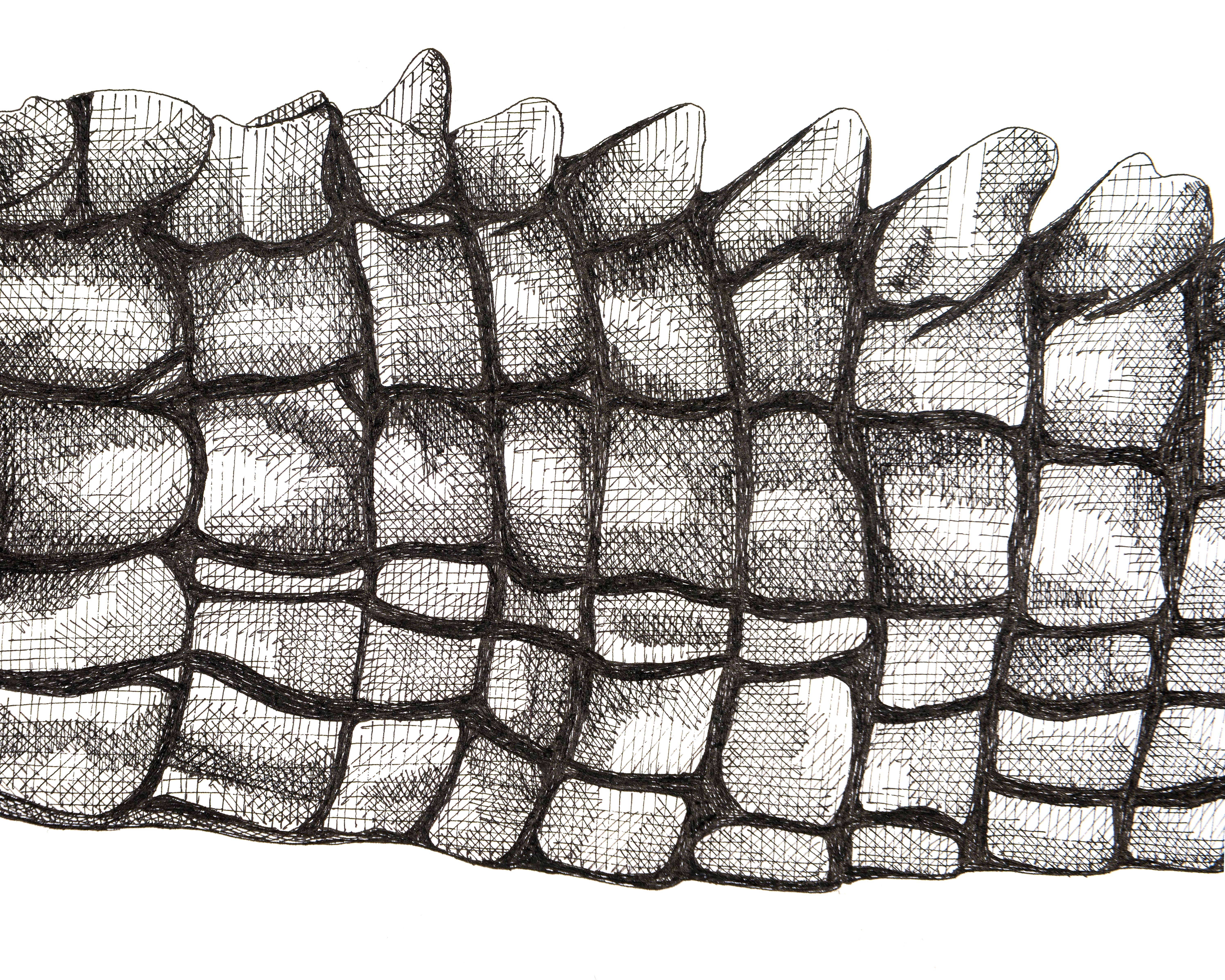 Alligatorschwanz (Alte Meister), Art, von Arianna Fioratti Loreto